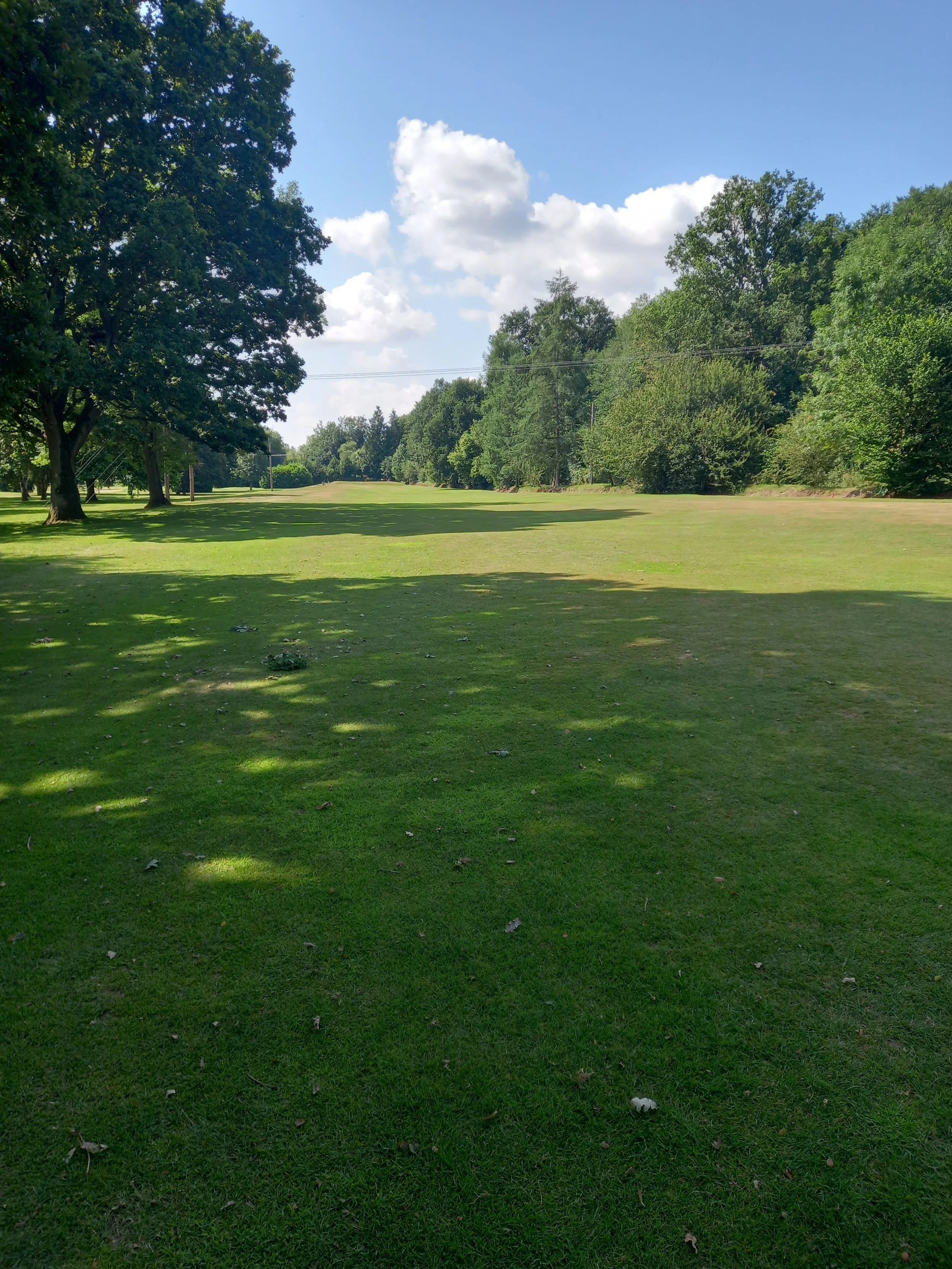 20210726_111011 - Copy.jpg