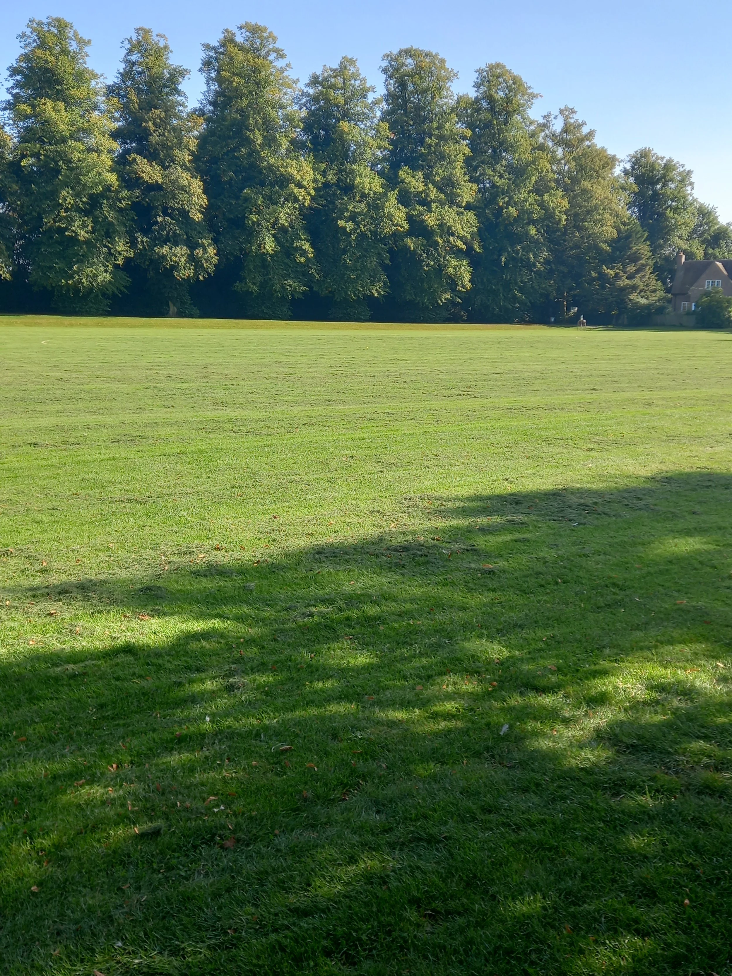 20210907_161145 - Copy.jpg