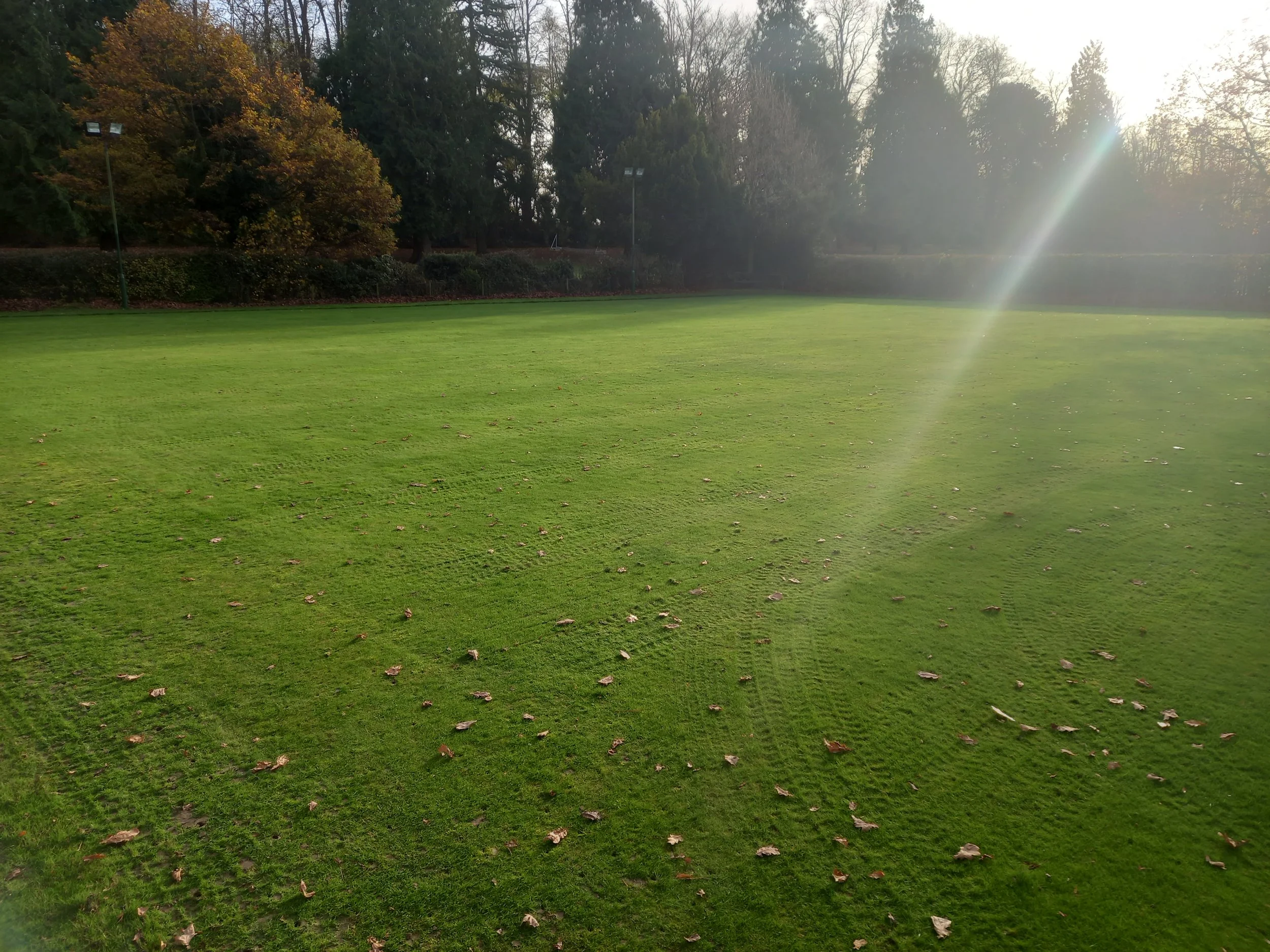 20211125_134329 - Copy.jpg