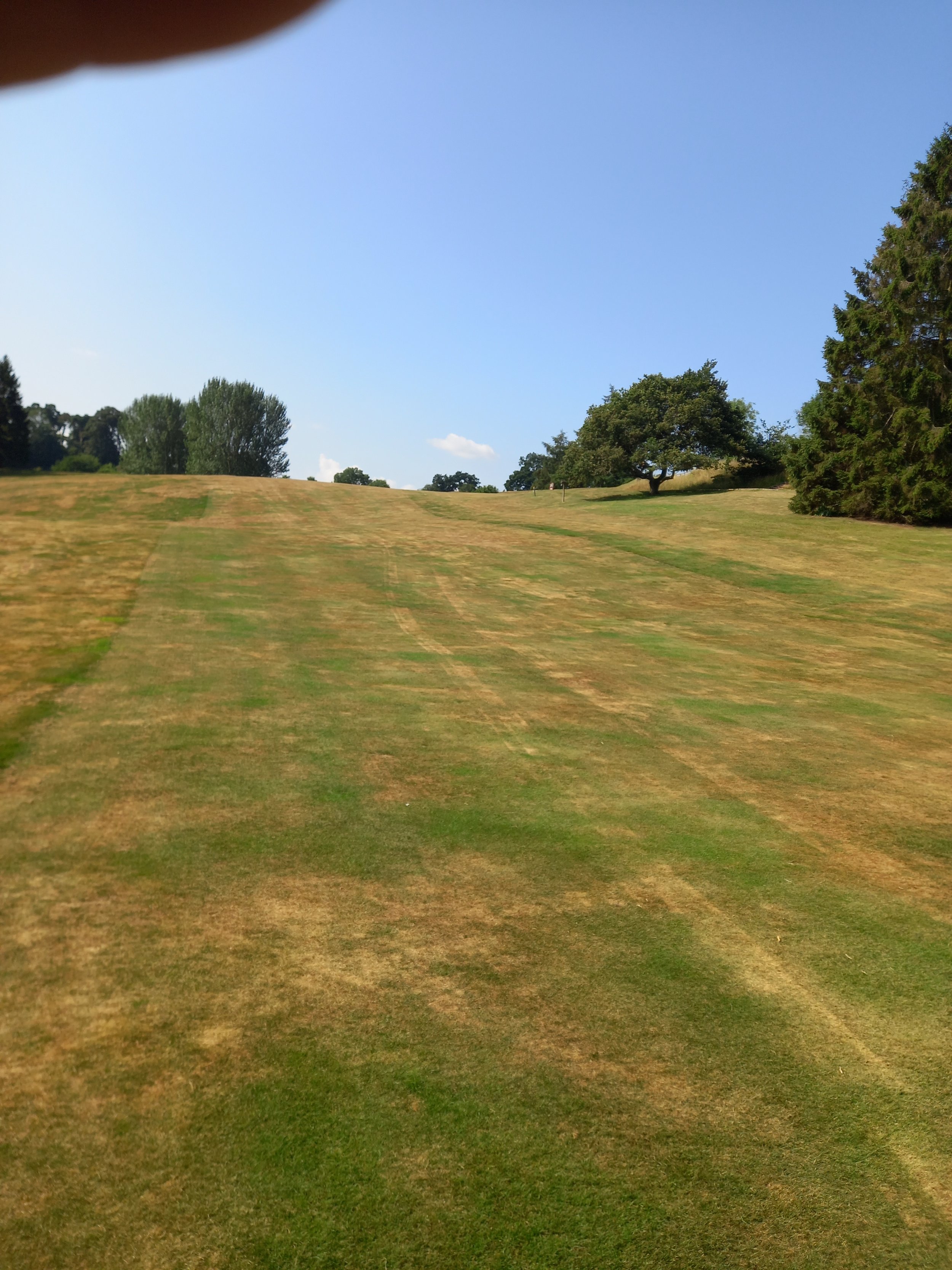 20210726_102535 - Copy.jpg