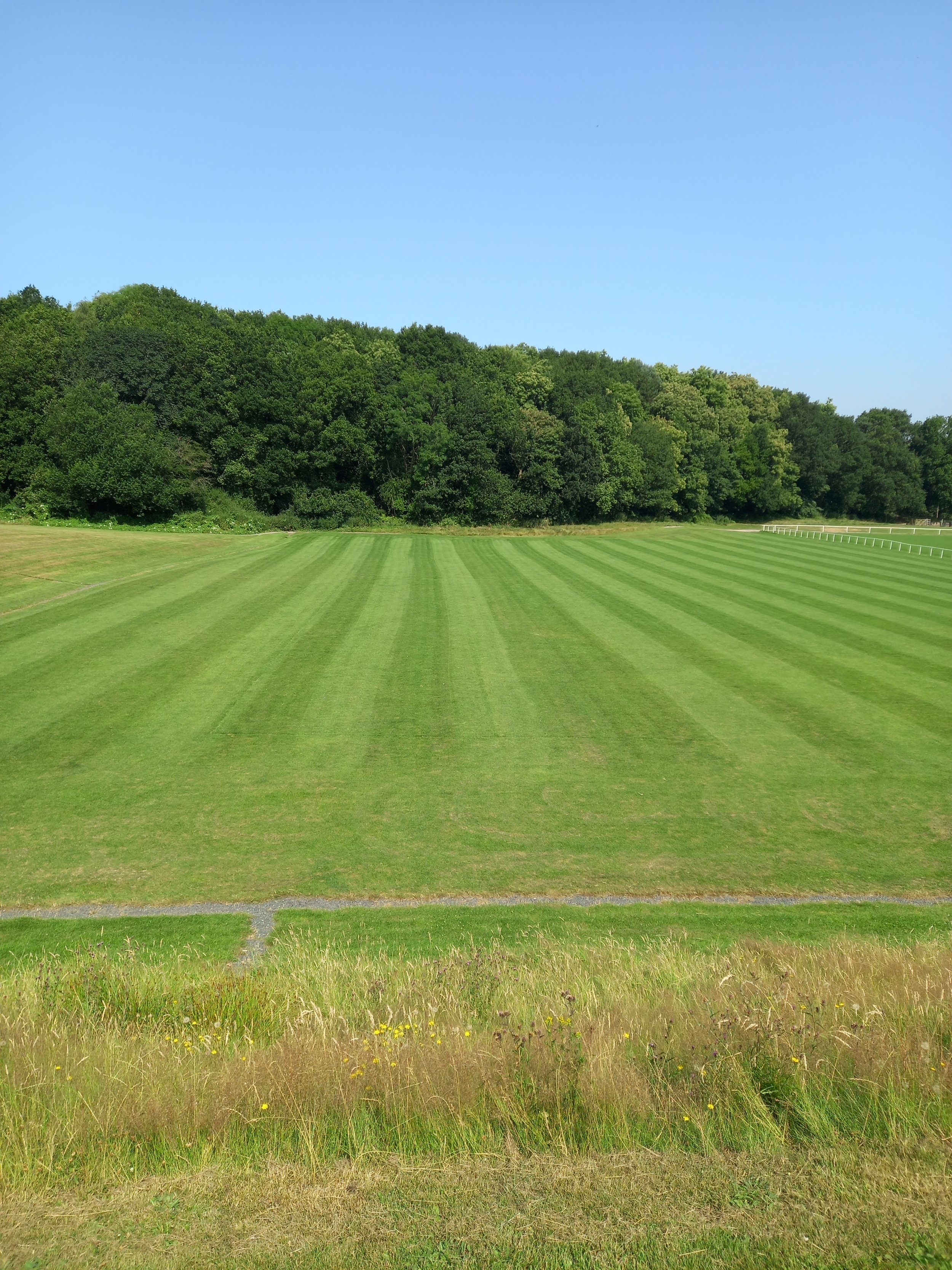 20210722_104902 - Copy.jpg