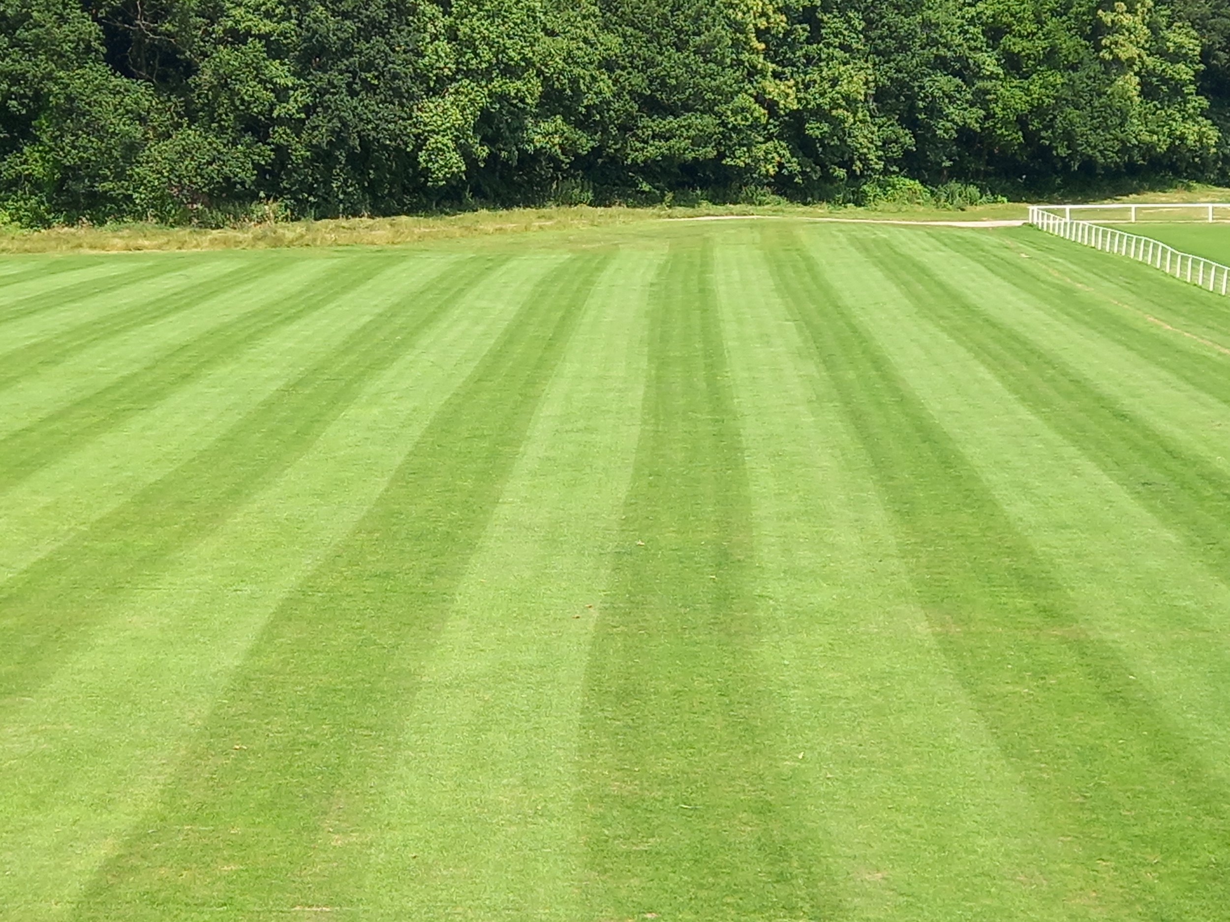 20210722_105024 - Copy.jpg