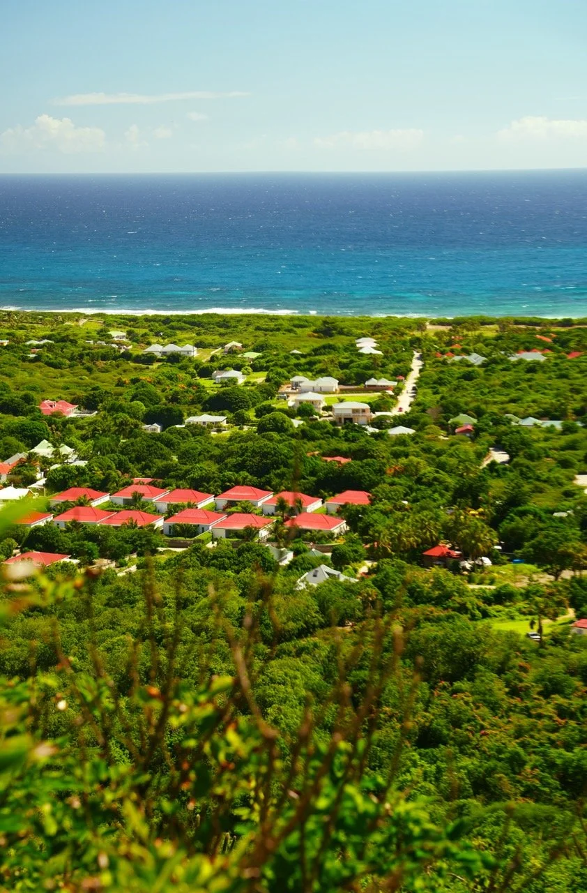 Groß (DSC01410).jpeg