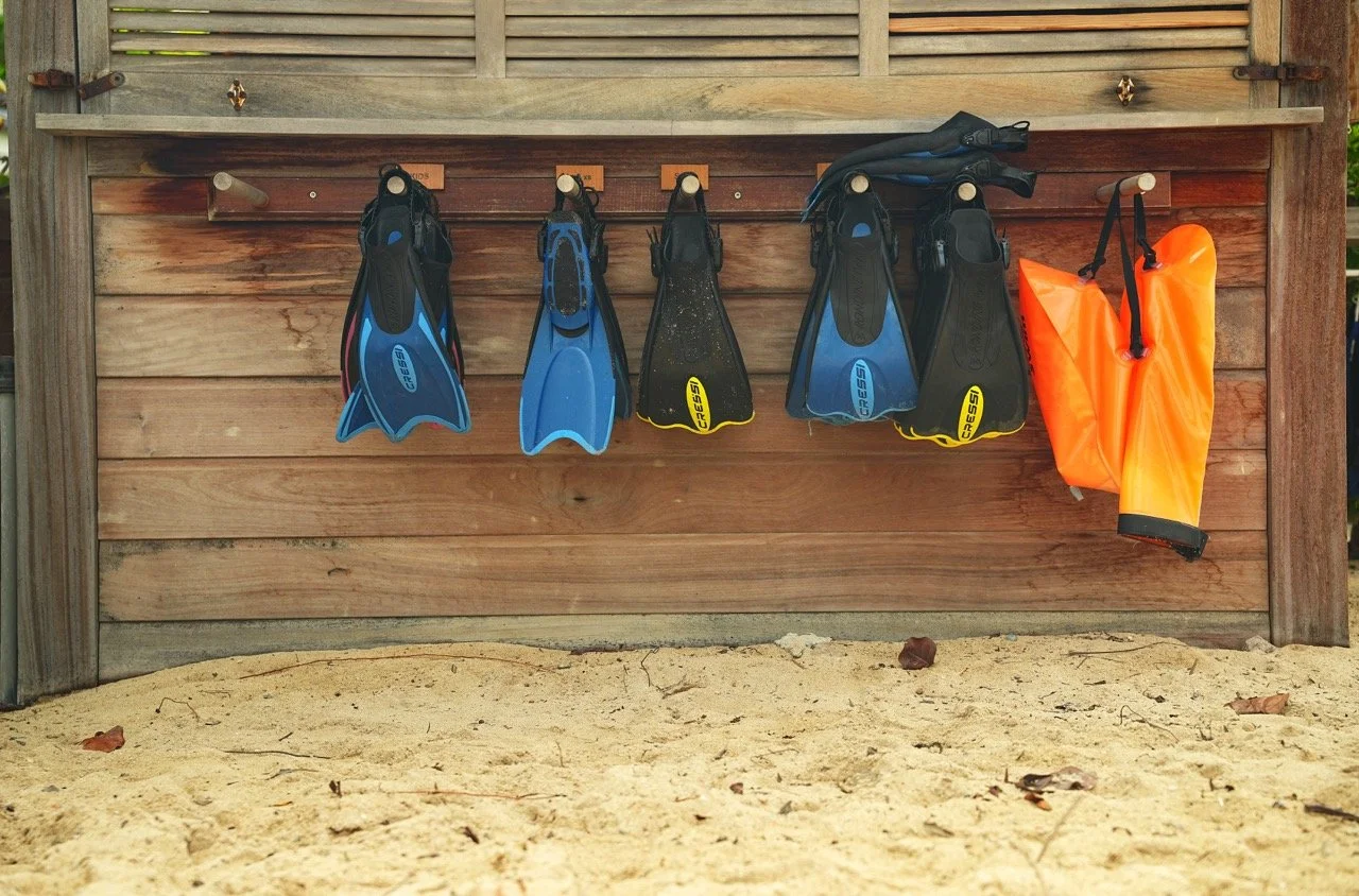 Groß (DSC05616).jpeg