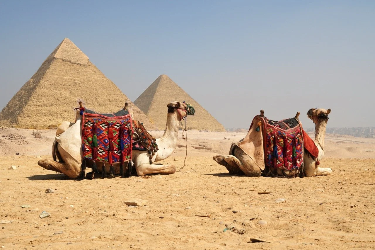 Groß (DSC04730).jpeg