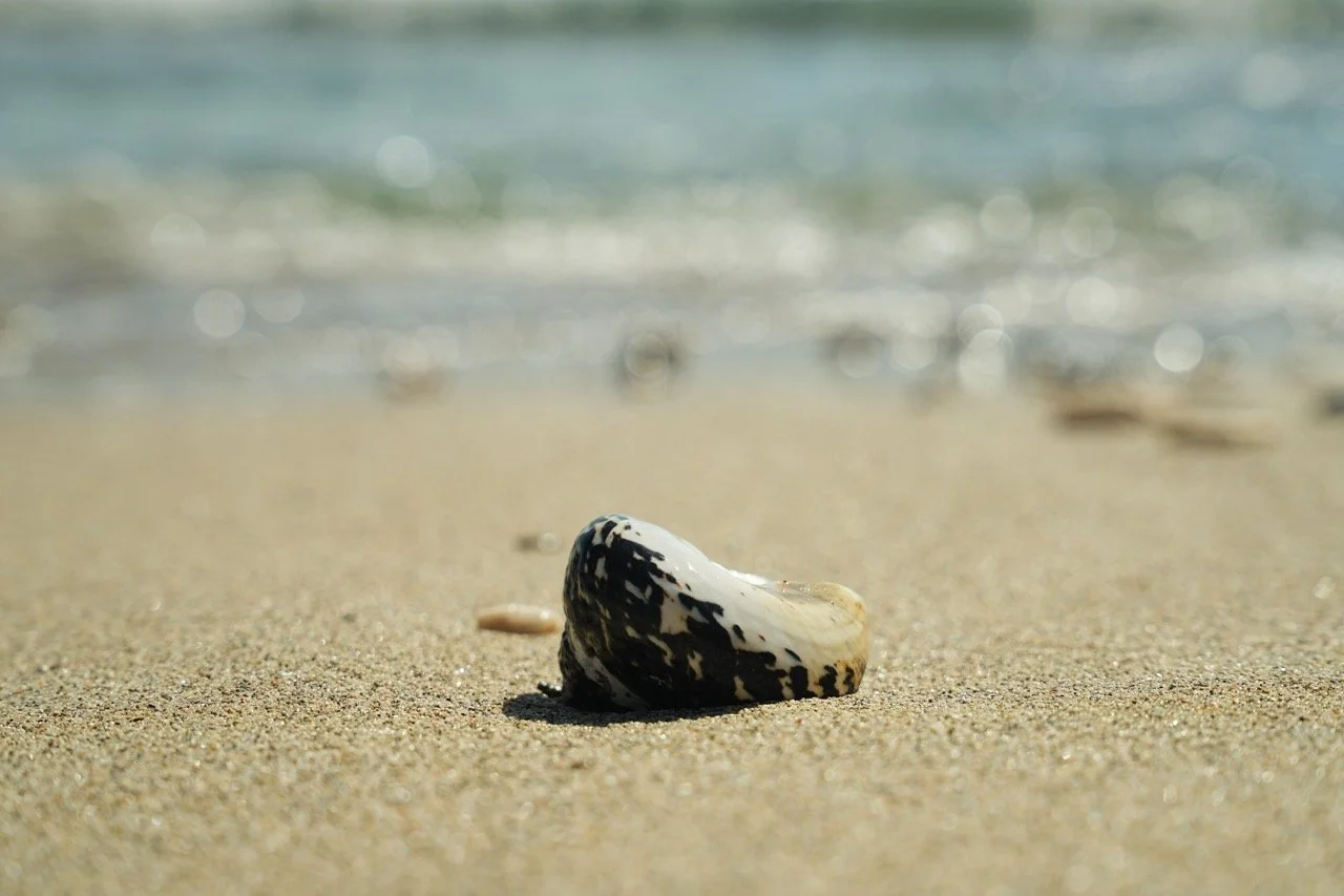 Groß (DSC01270).jpeg