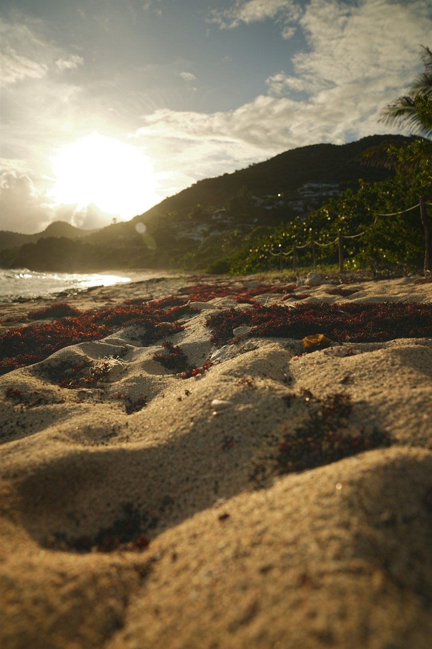 Groß (DSC05373).jpeg