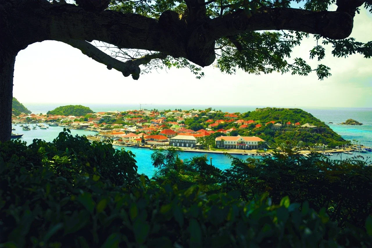 Groß (DSC00370).jpeg