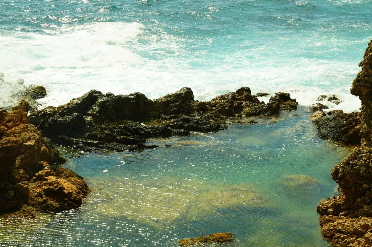 Groß (DSC01338).jpeg