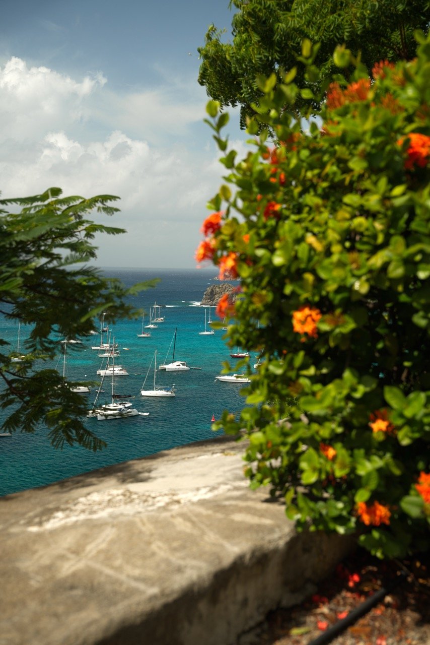 Groß (DSC00404).jpeg