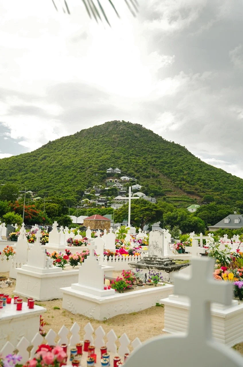 Groß (DSC05789).jpeg