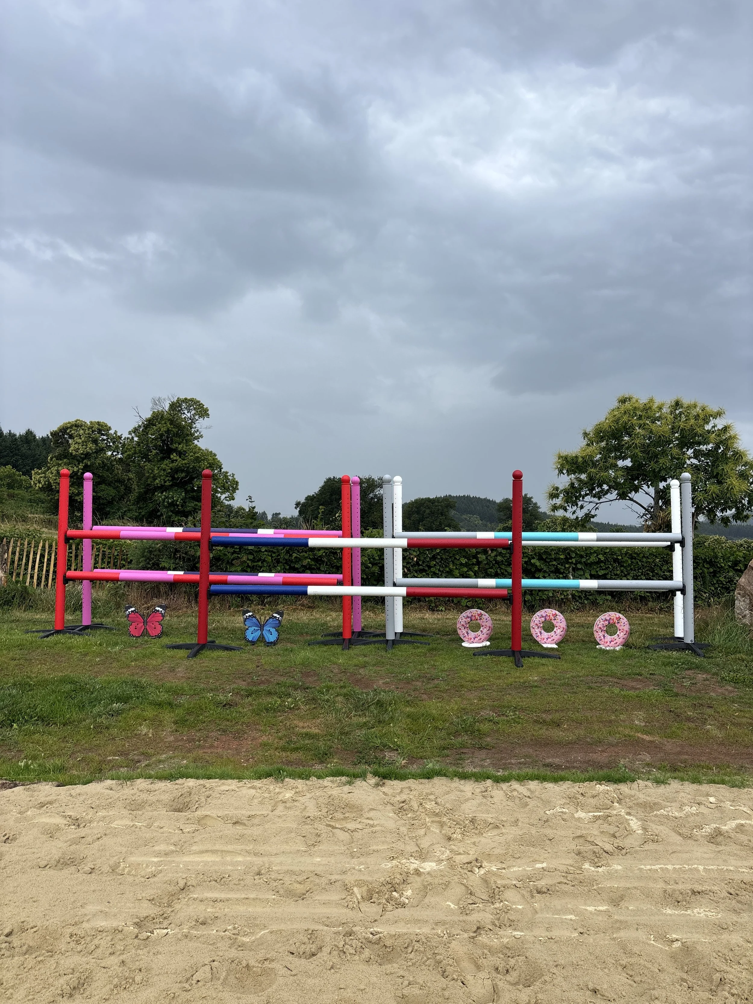 Parc à obstacles Domaine d'Epona à Suin en Bourgogne