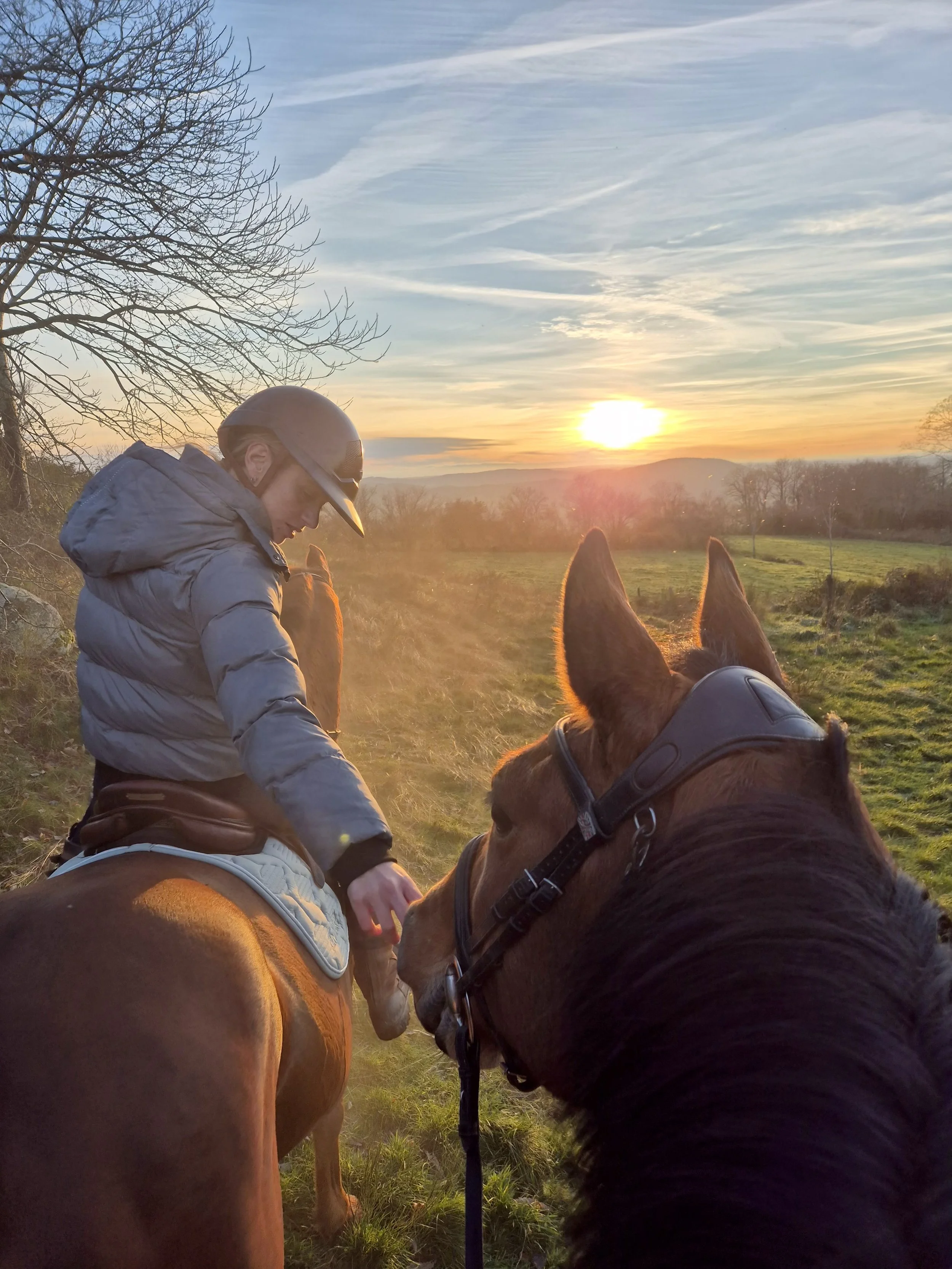 Balade à cheval au coucher de soleil sur la butte de Suin Domaine d'Epona à Suin en Bourgogne