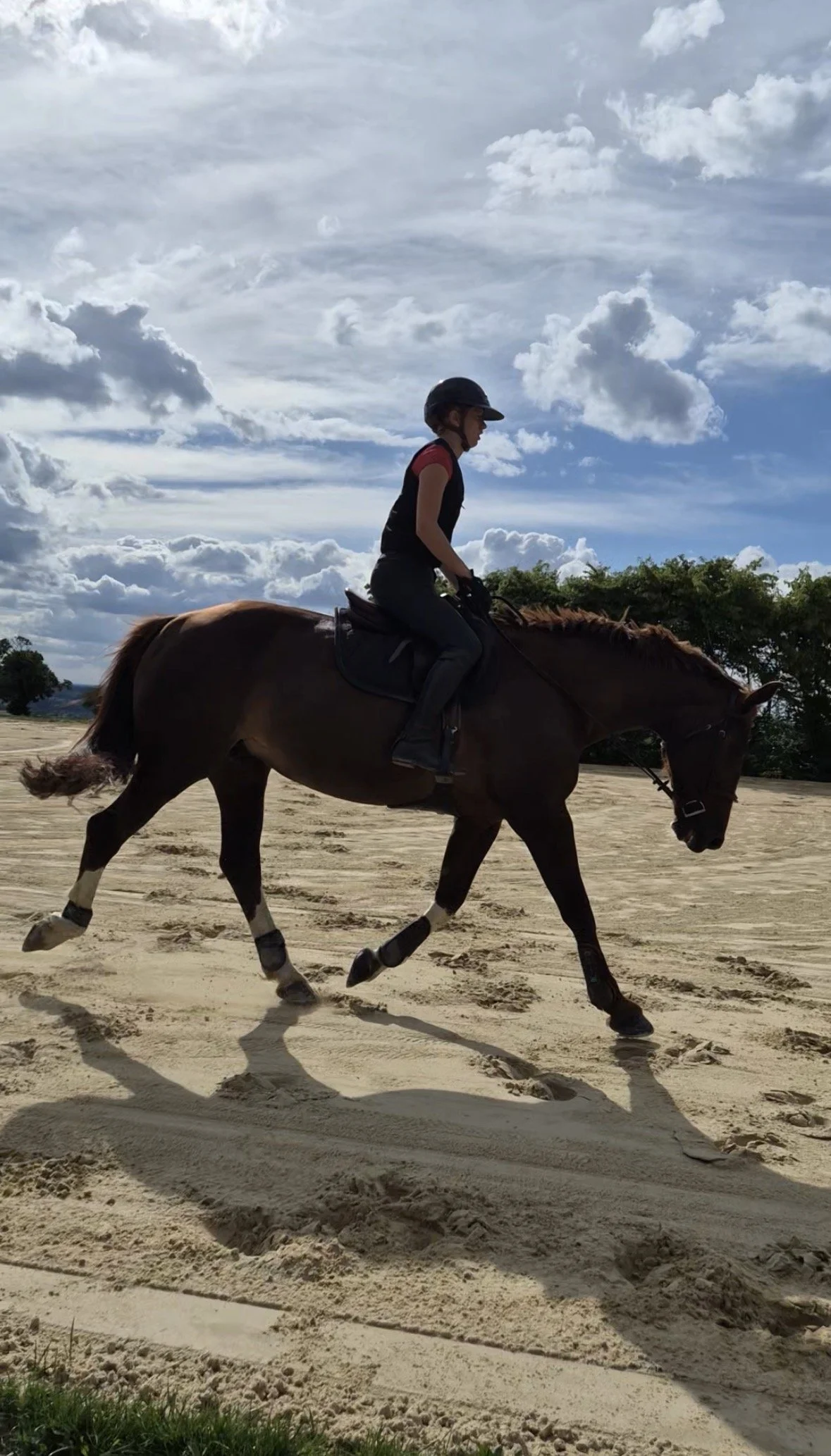 Travail cheval de sport par l'un de nos cavaliers au Domaine d'Epona à Suin en Bourgogne