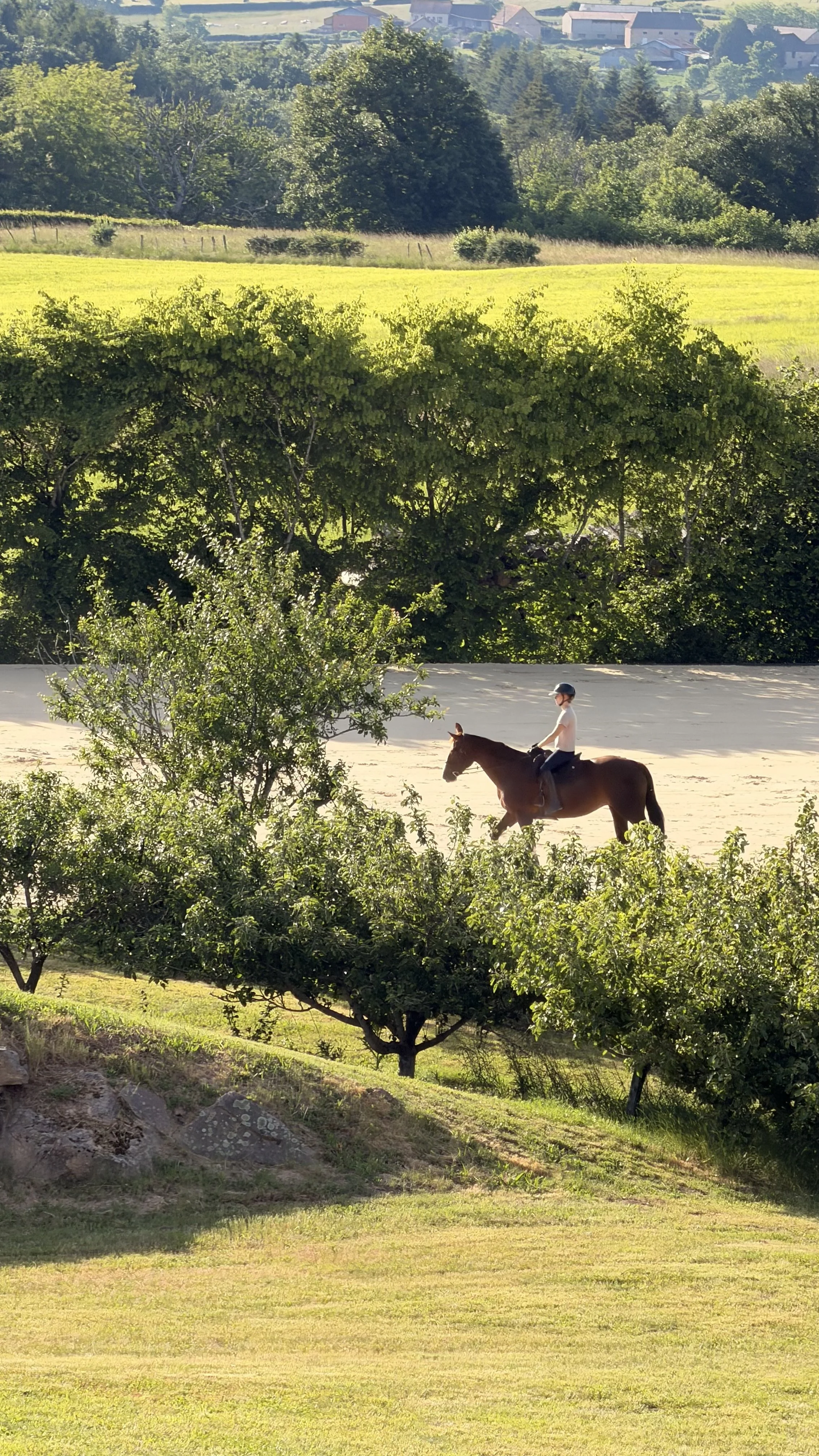 Travail à cheval dans la carrière d'équitation du domaine d'Epona à Suin en Bourgogne