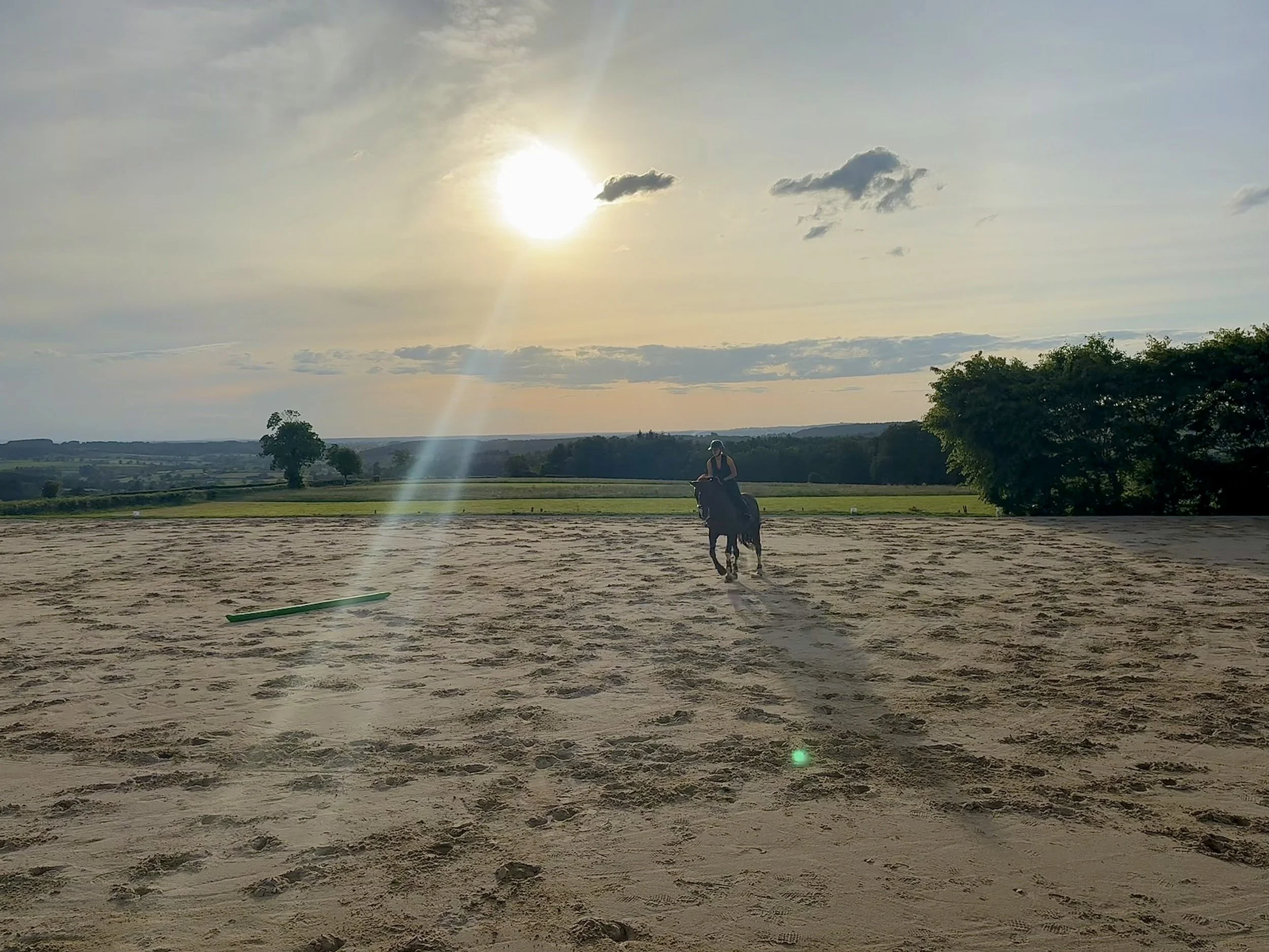 Travail d'un cheval d'obstacles Domaine d'Epona à Suin en Bourgogne