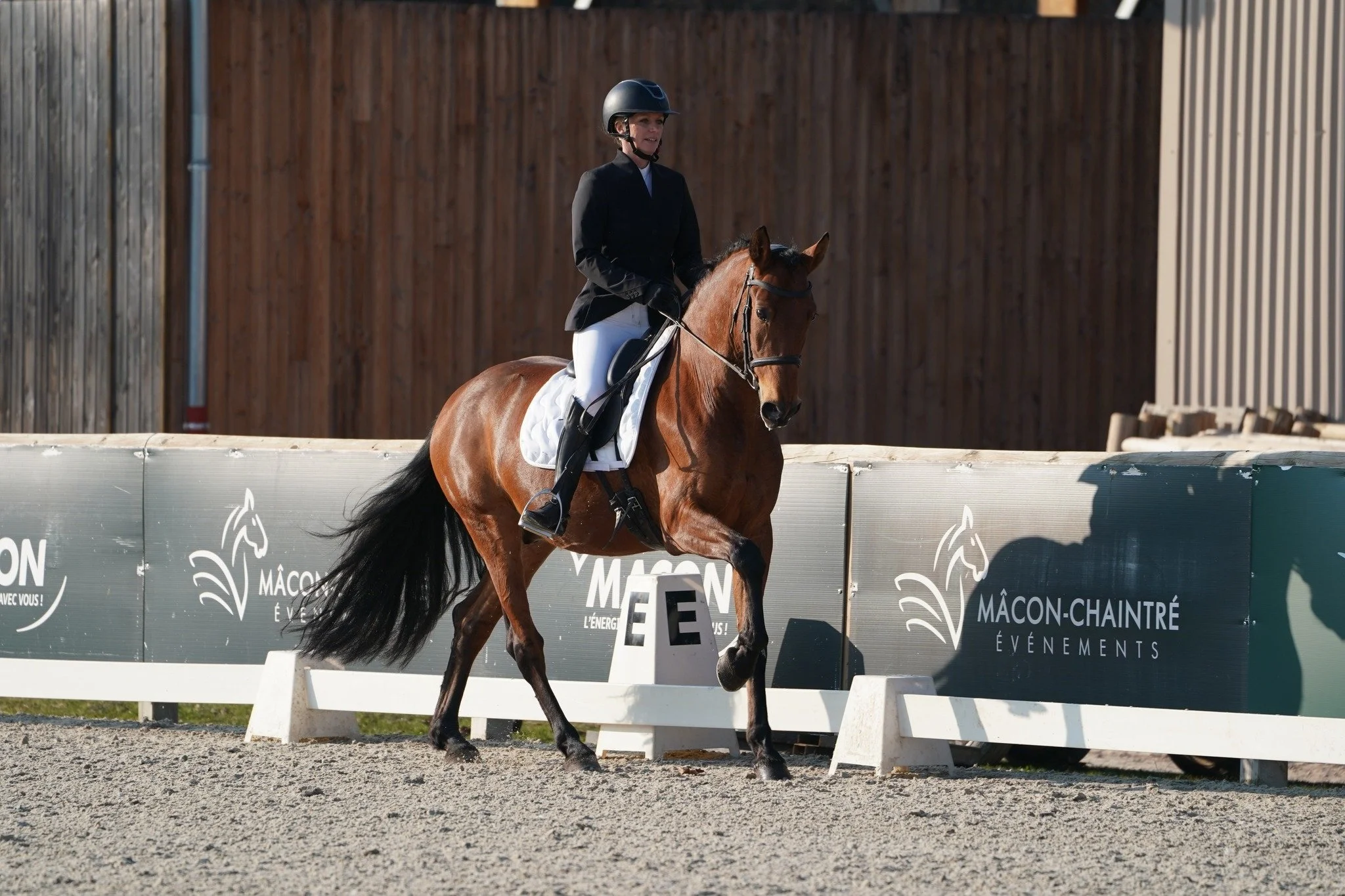 Tarifs pour les cours d'équitation et la pension pré à Suin en Bourgogne (71), entre Cluny et Charolles