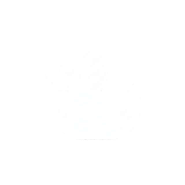 duck5.PNG