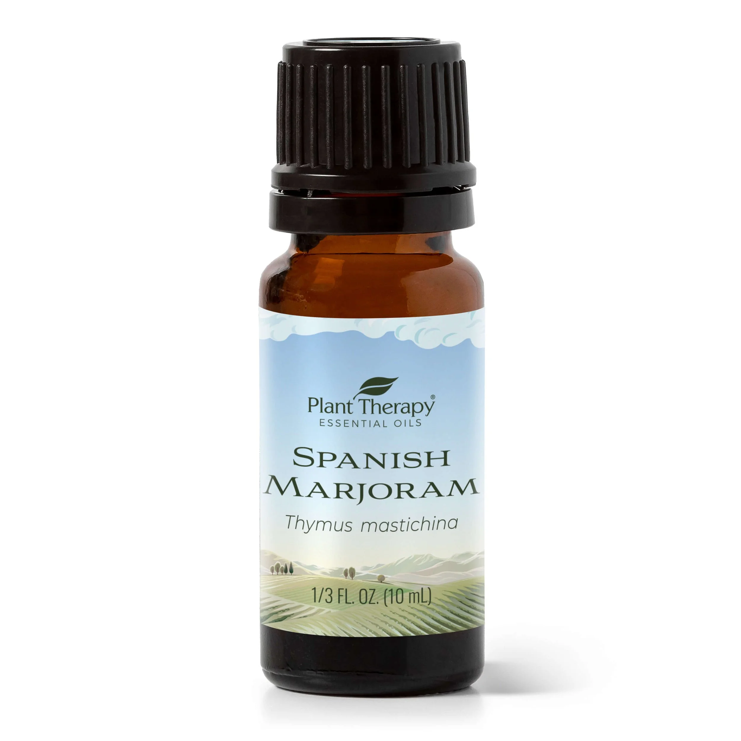 Spanish Marjoram Essential Oil