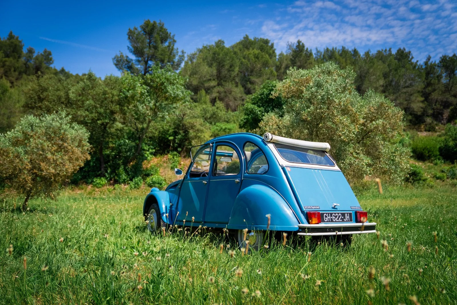 WhatsApp Image 2025-06-04 at 02.05.18 (2).jpeg