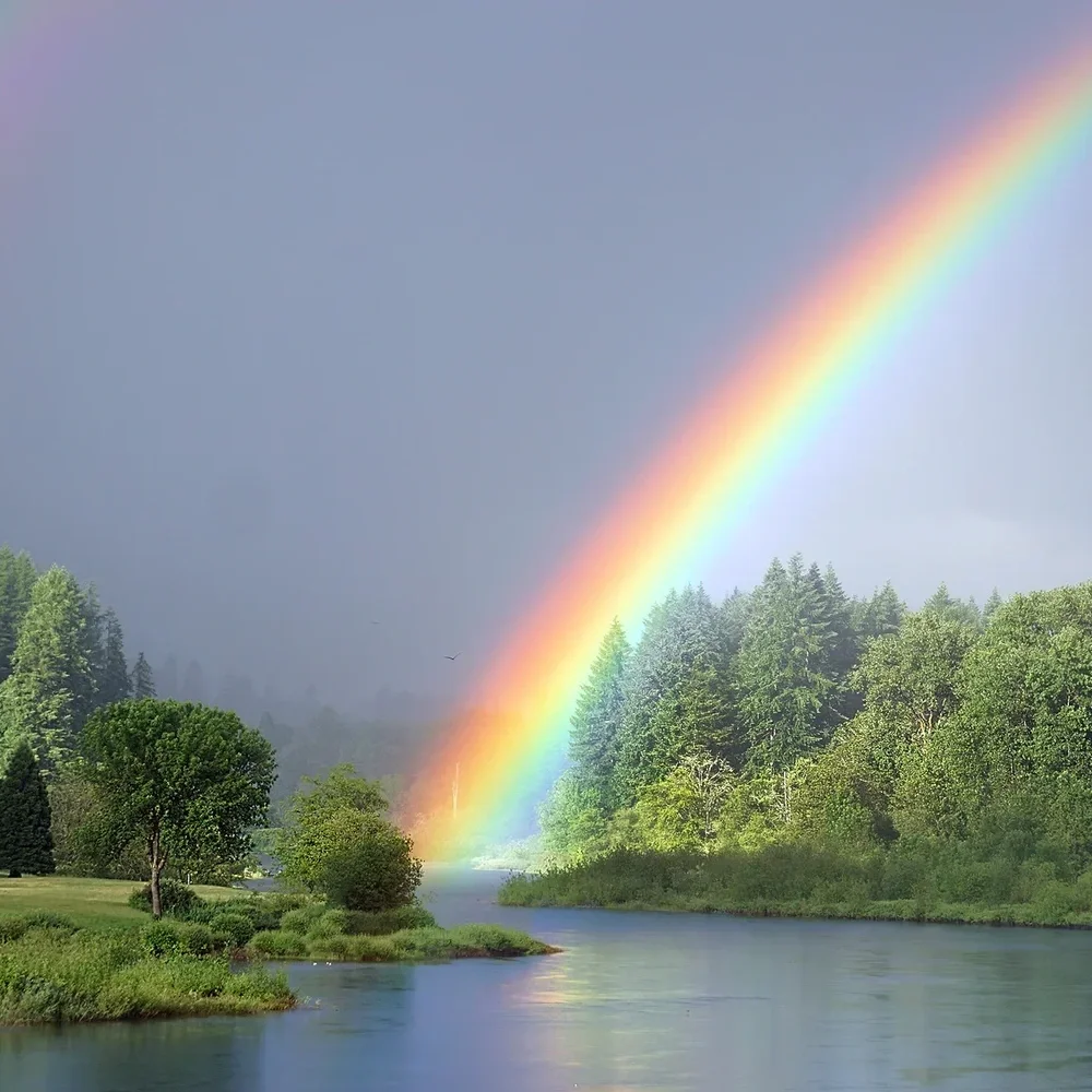 rainbow-2424647_1920.jpg.webp