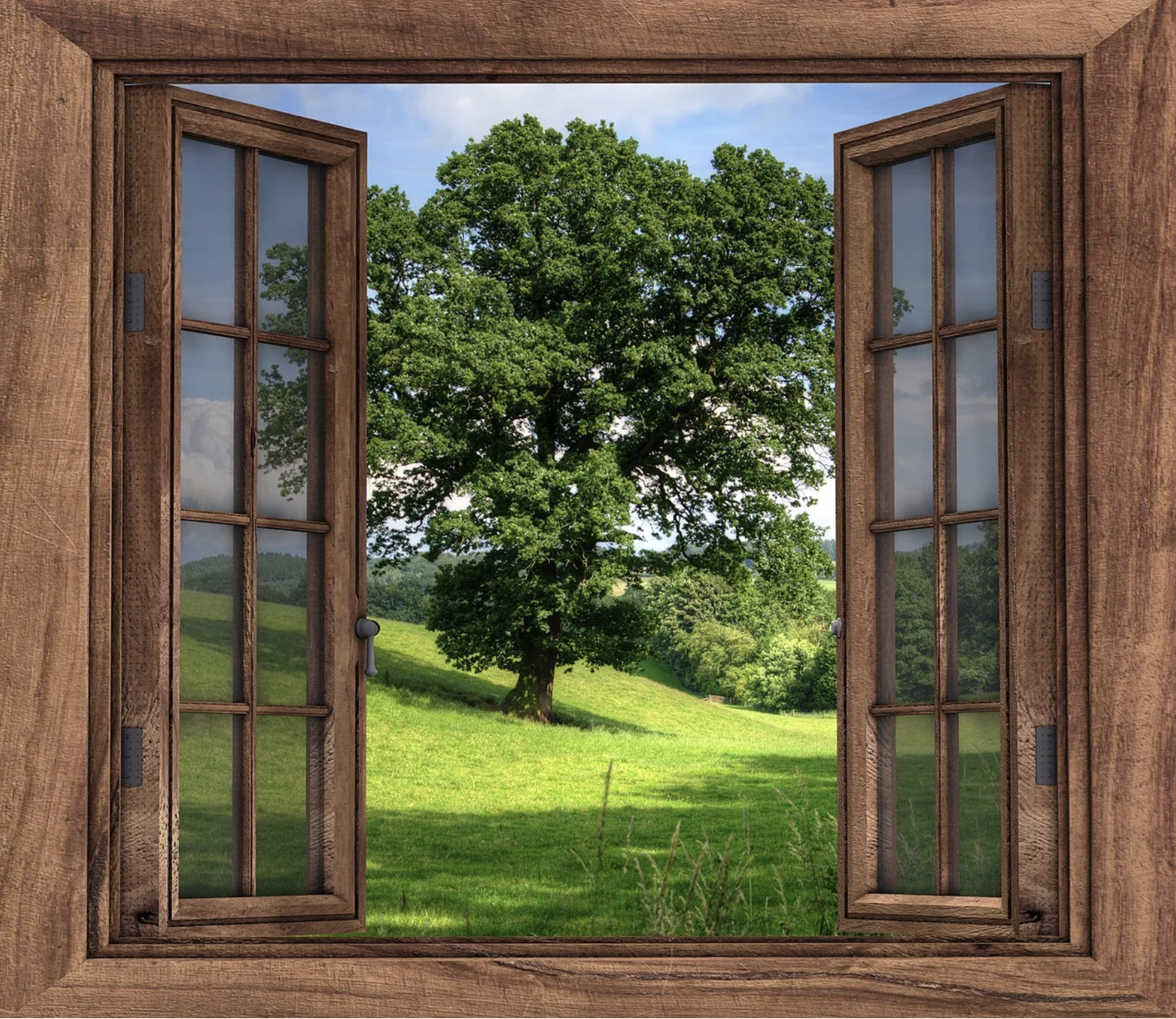 Freedom from claustrophobia