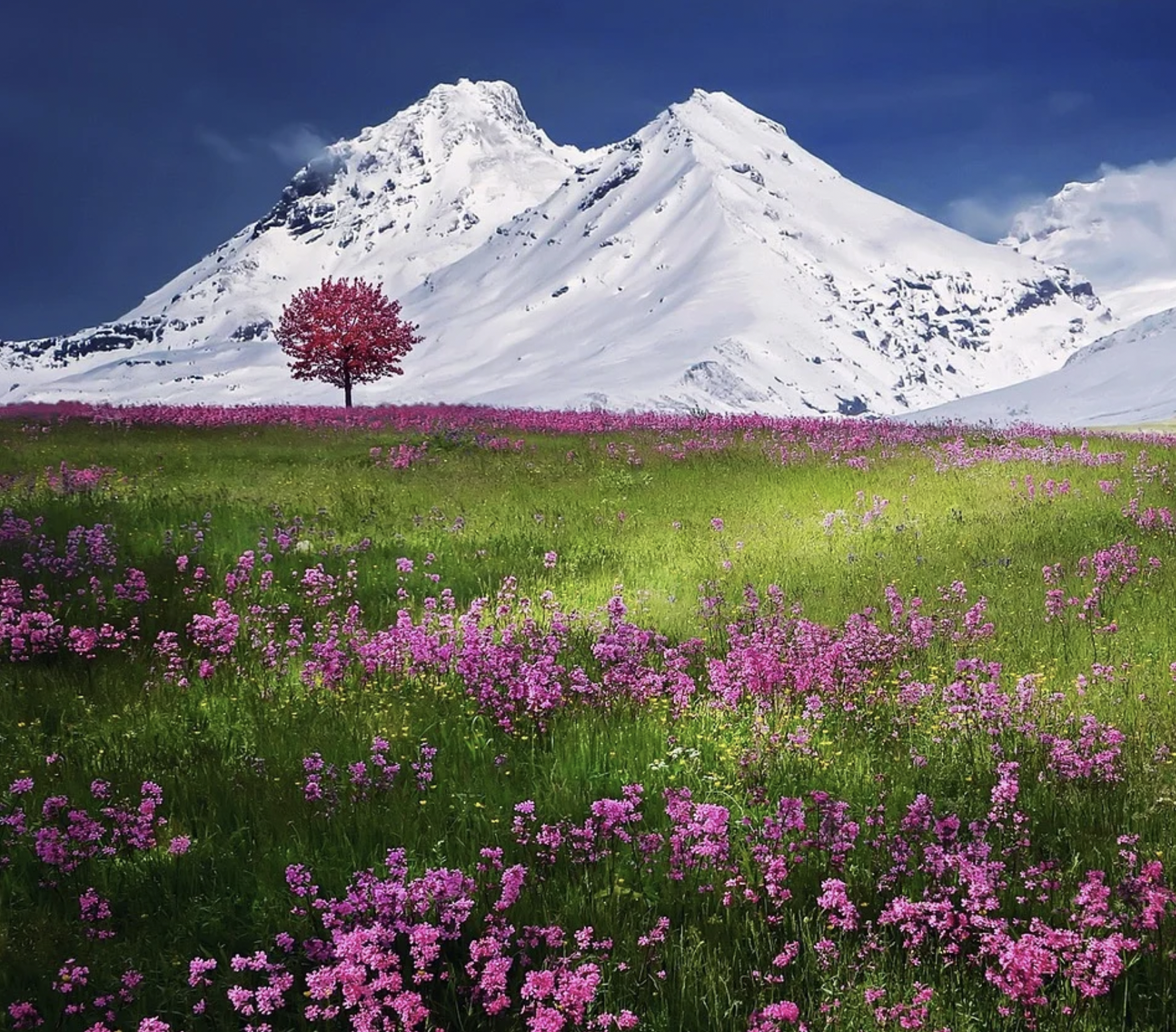 Conquer fear of heights