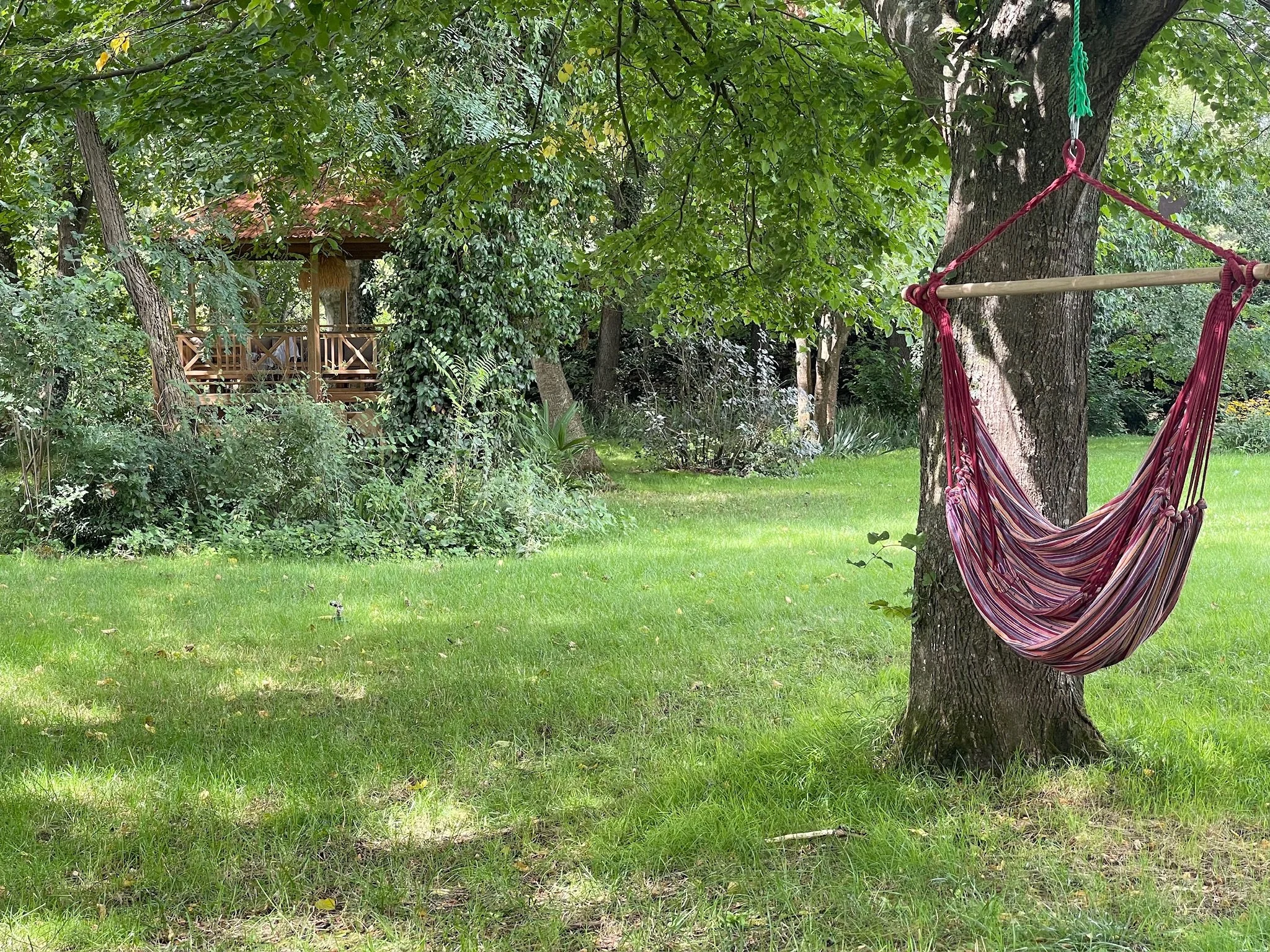 Un hamac suspendu à un arbre dans un jardin verdoyant avec une maison en bois en arrière-plan.