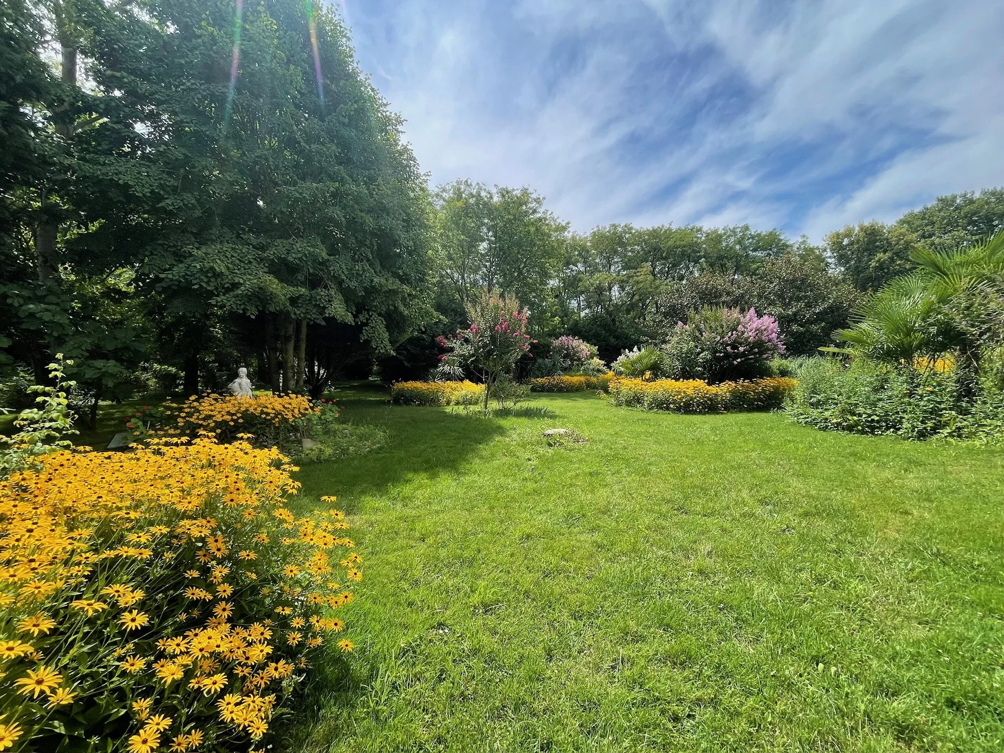 Un jardin avec des arbustes, des fleurs colorées et de l'herbe verte, entouré d'arbres et de haies.