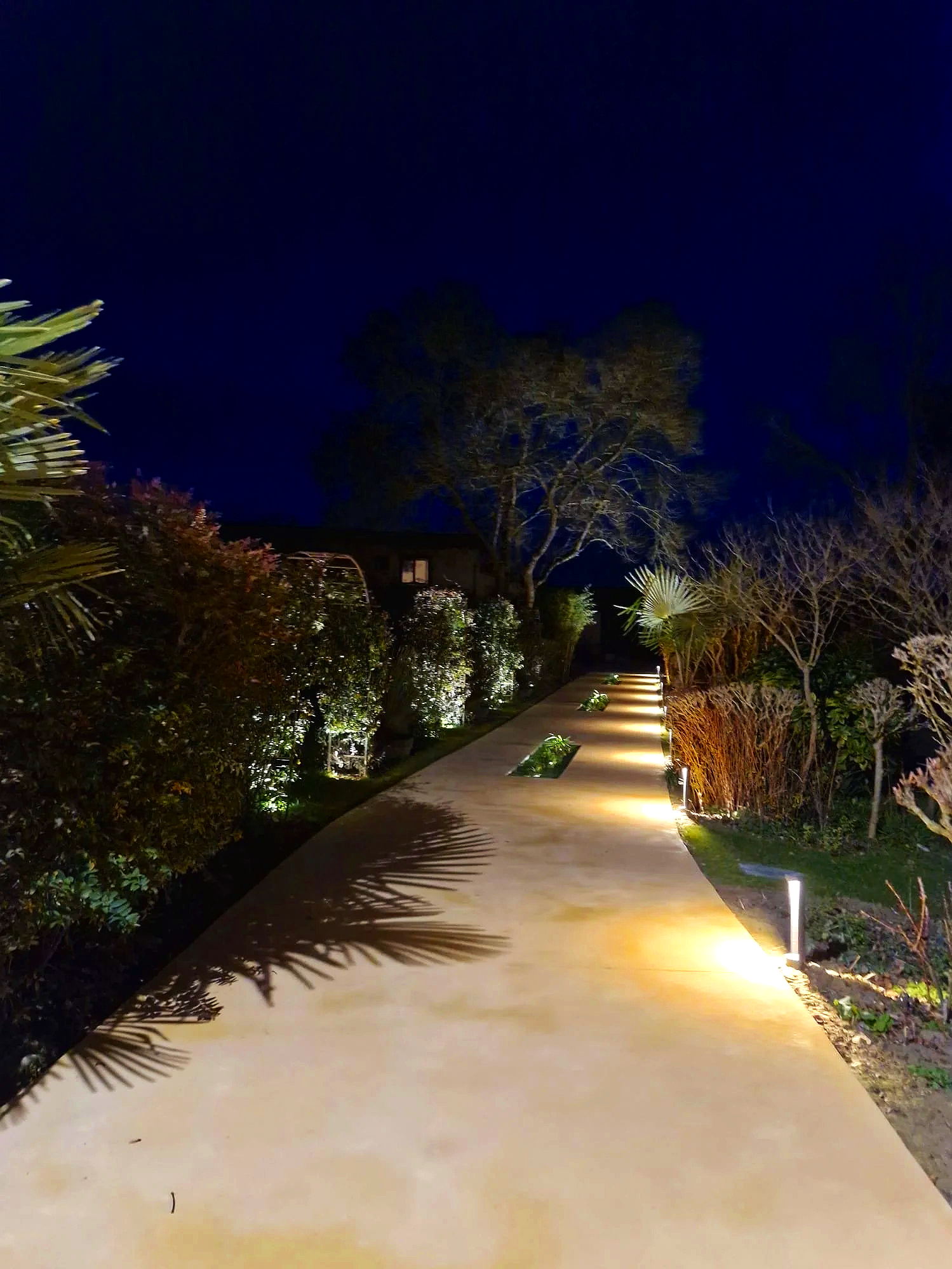Chemin éclairé avec des lampes au sol, entouré de buissons et d'arbres la nuit.