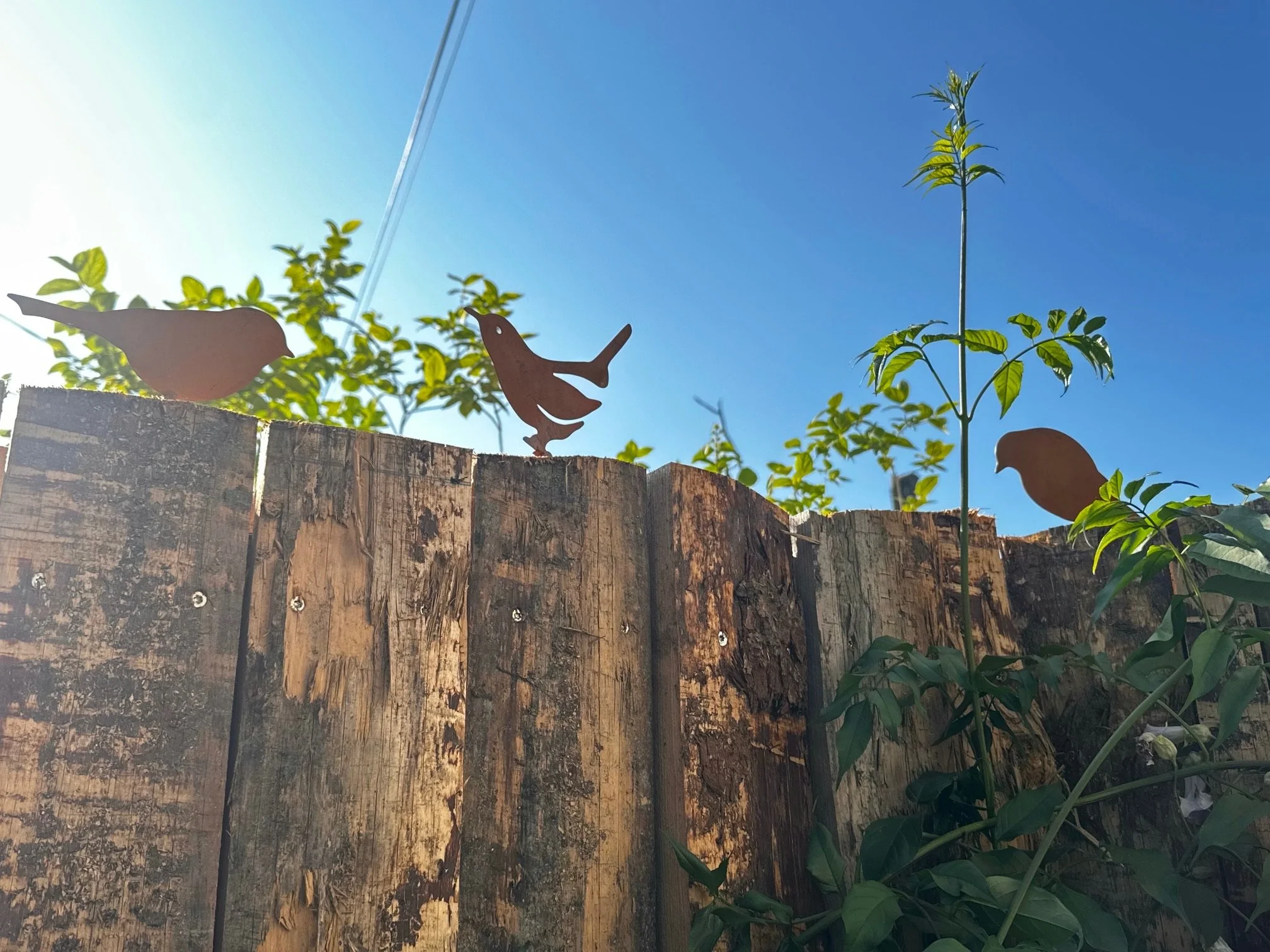Décoration de jardin avec des oiseaux en métal sur une clôture en bois, fond de ciel bleu clair et vert foliage.
