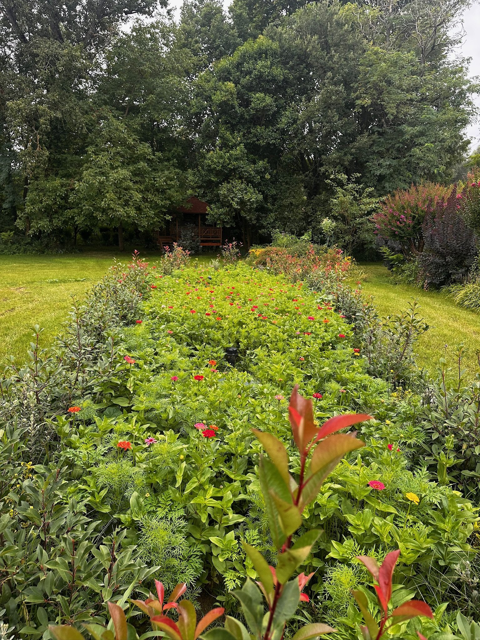 Un jardin planté de fleurs colorées, entouré d'arbres et d'arbustes, avec une petite cabane en bois en arrière-plan.