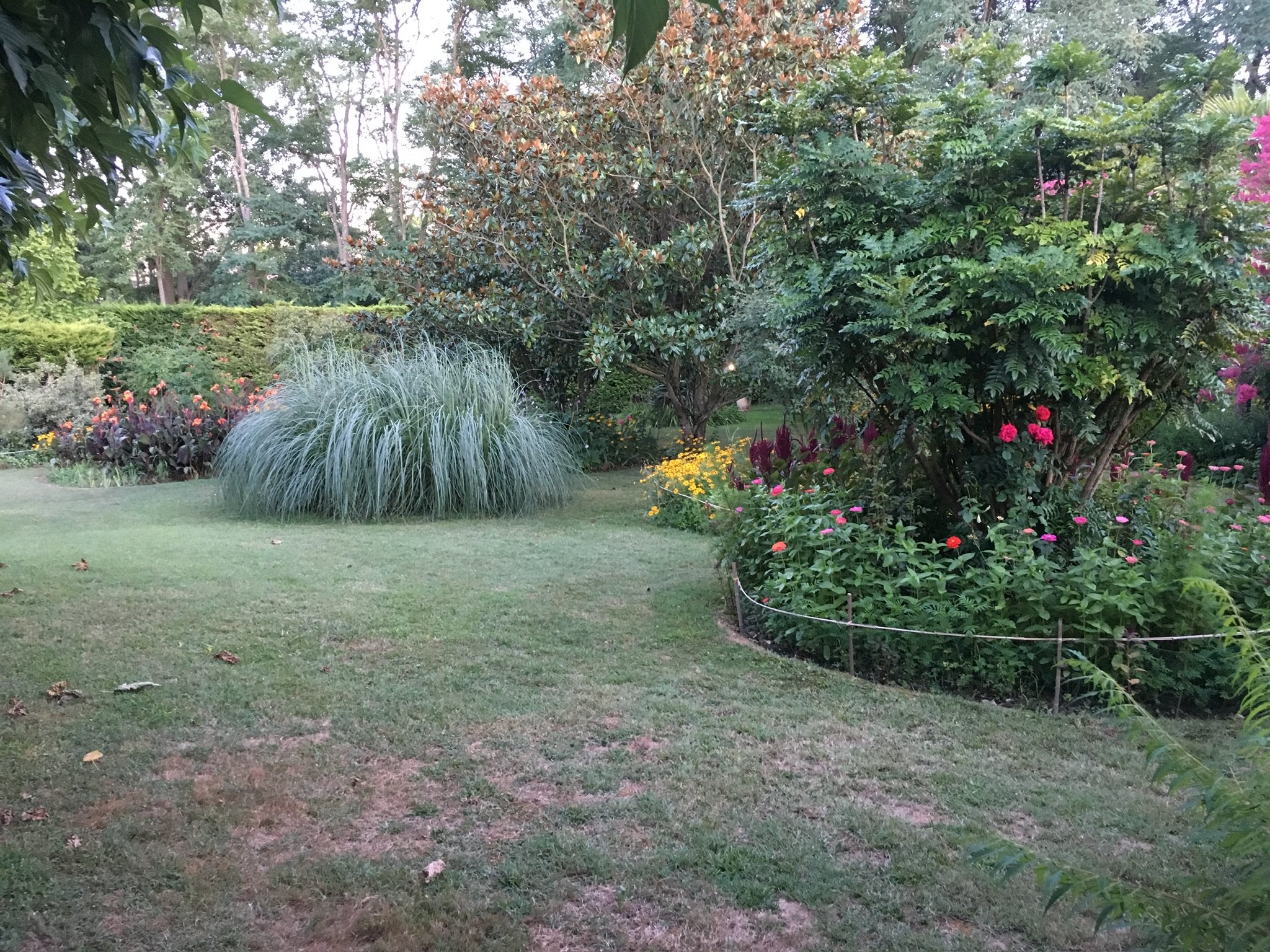 Un jardin avec des arbustes, des fleurs colorées et de l'herbe verte, entouré d'arbres et de haies.