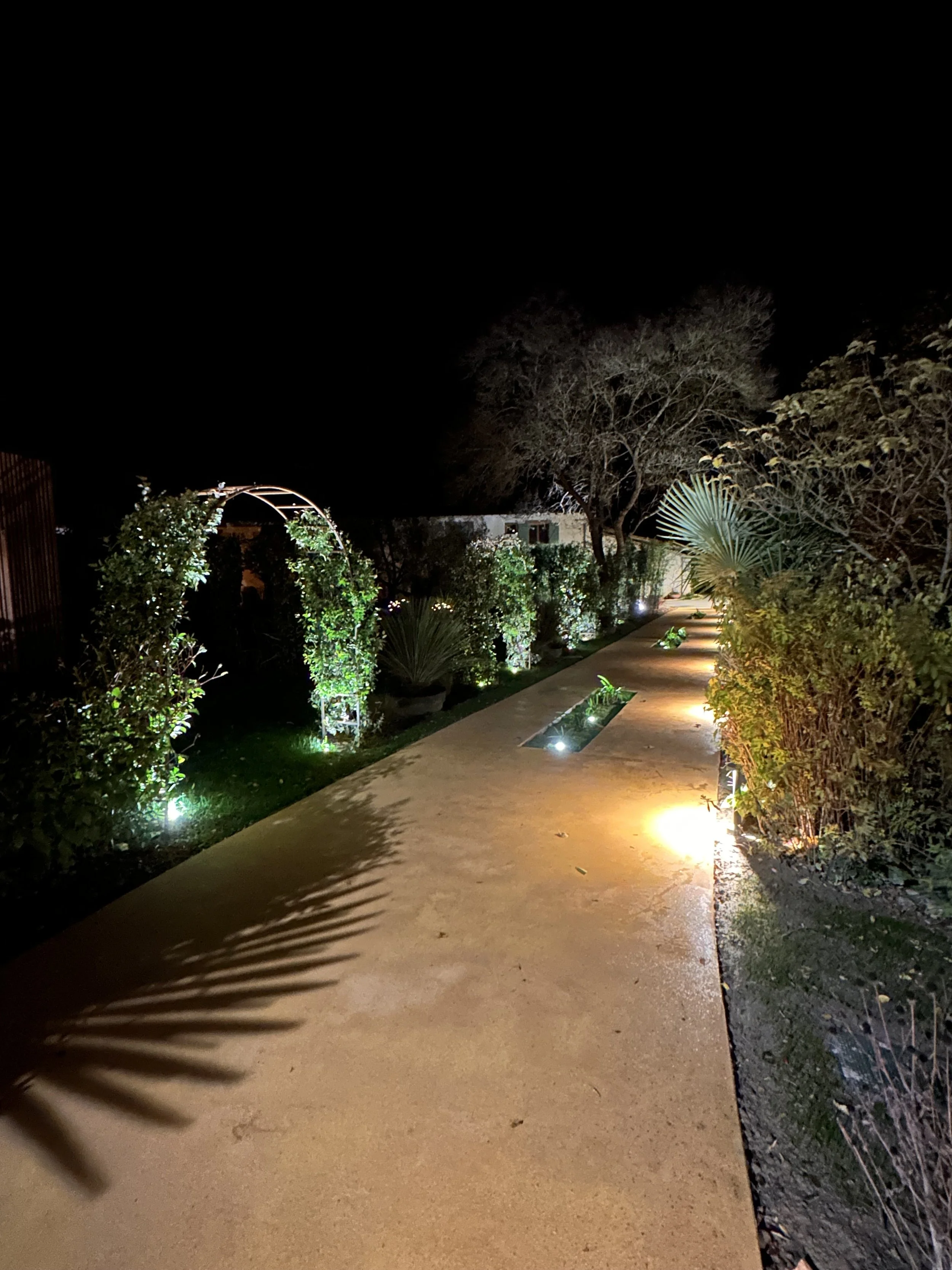 Chemin éclairé avec des lampes au sol, entouré de buissons et d'arbres la nuit.