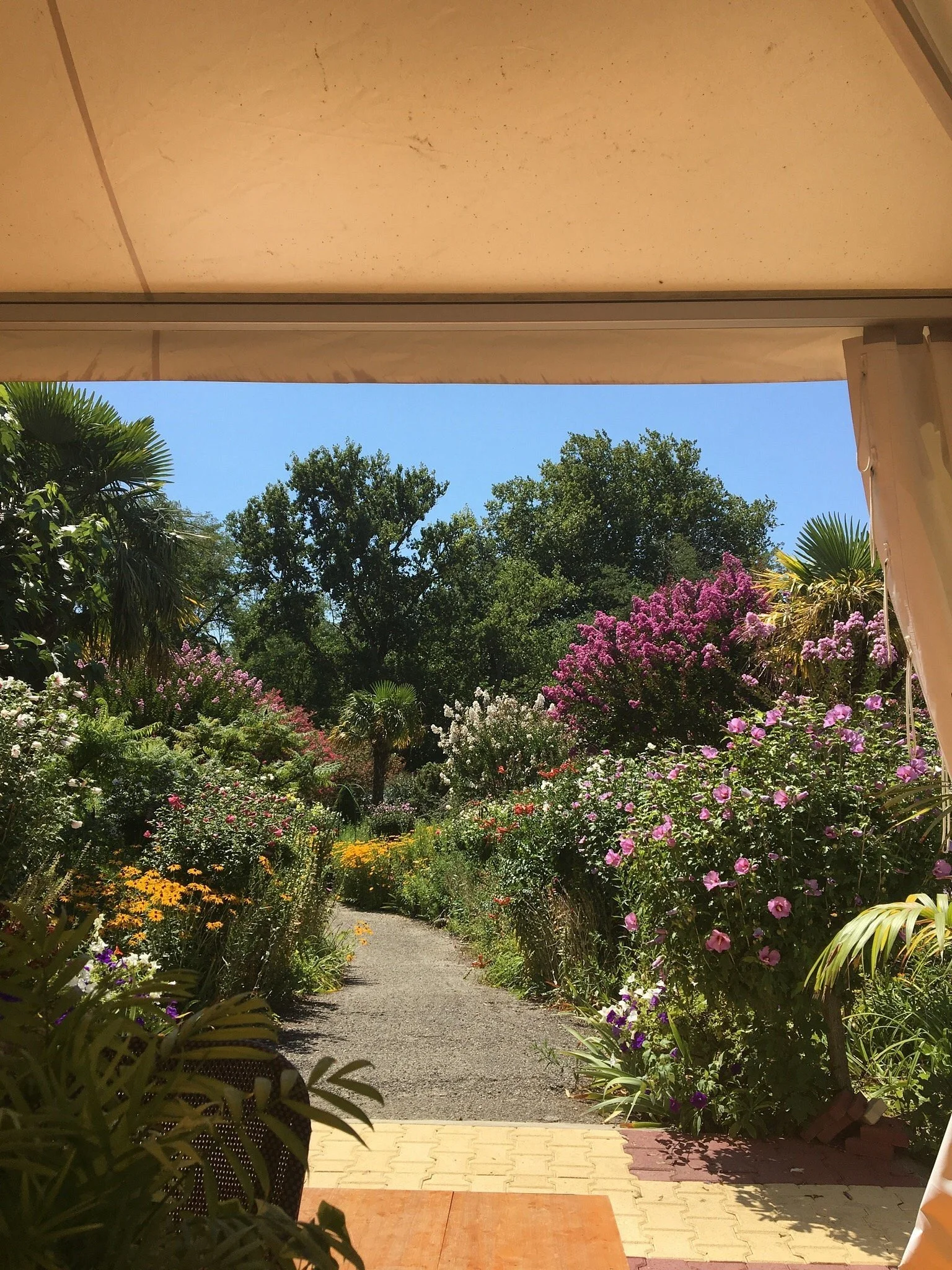 Vue d'un jardin fleuri avec un chemin, des plantes luxuriantes et des fleurs multicolores sous un ciel bleu.