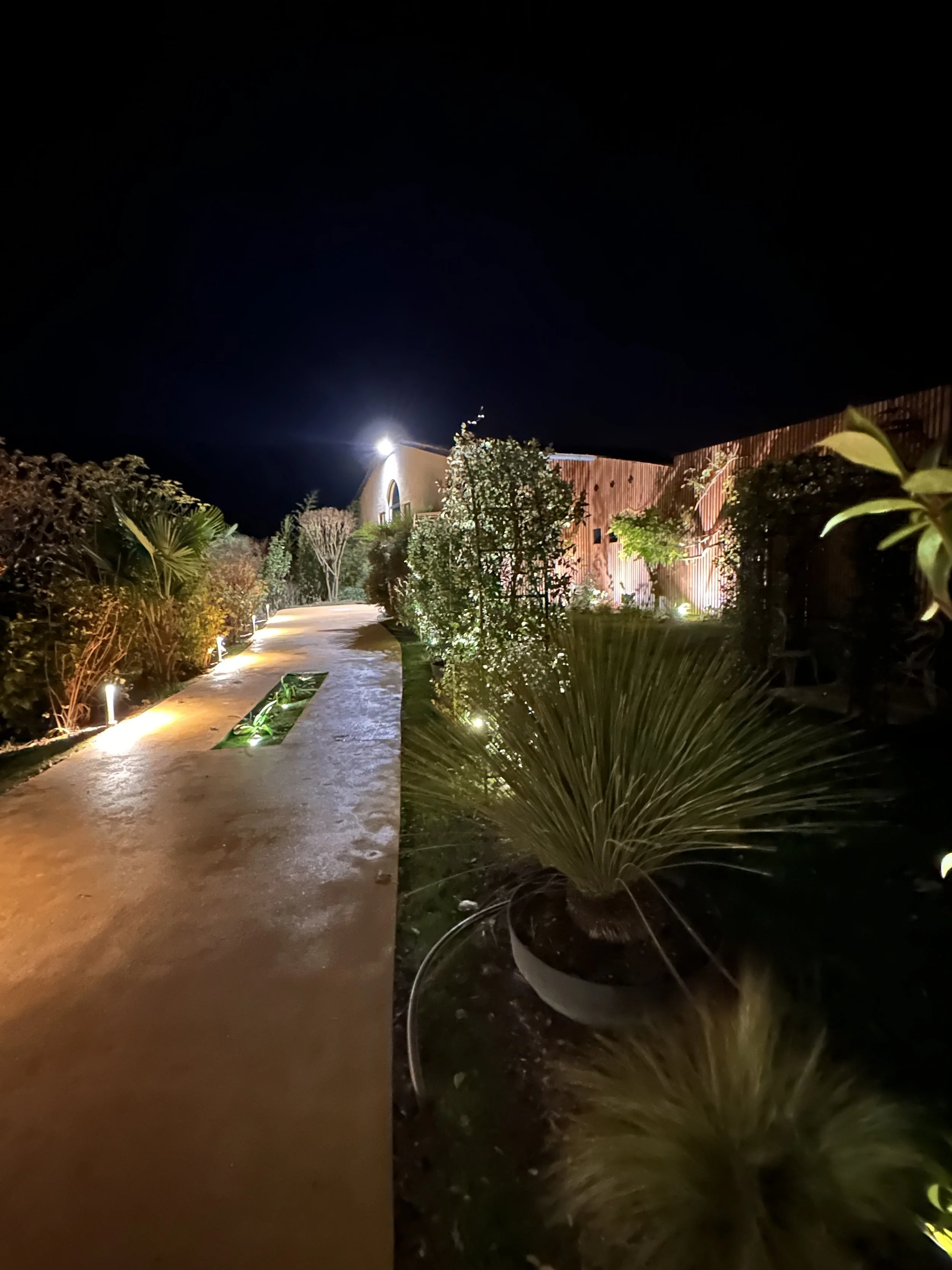 Chemin éclairé la nuit entouré de plantes et de buissons, avec une bâtisse en fond et des éclairages extérieurs.
