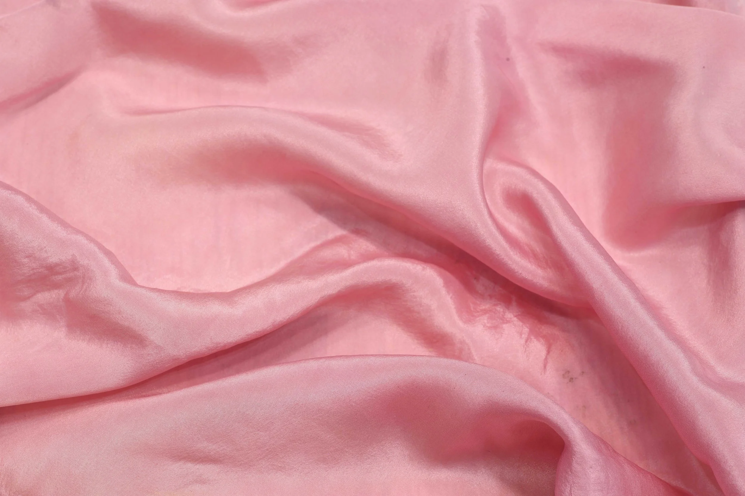 skarelė rožinė.jpg