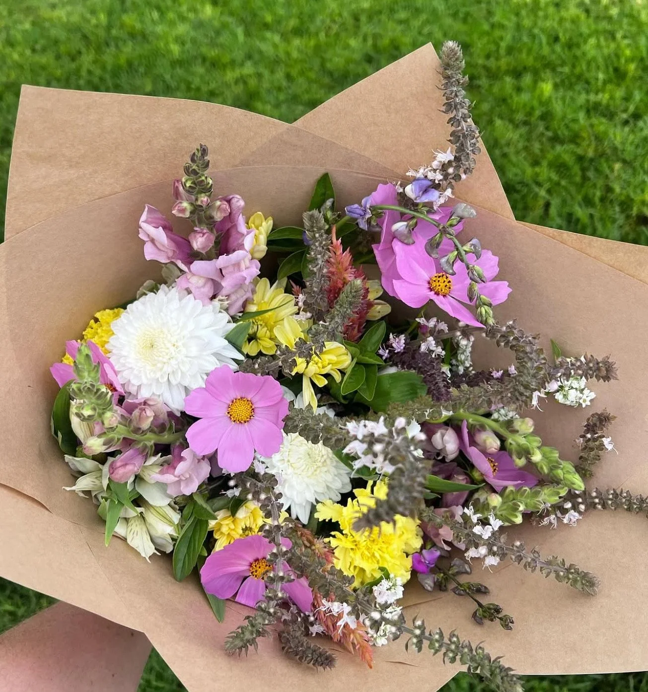 26503154-04CE-4D13-B073-5EDB8DD7BC32.JPG