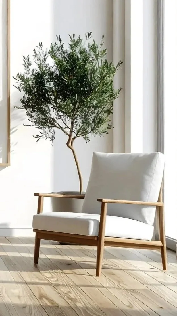 A modern indoor space features a white armchair with wooden arms and legs, a tall potted tree with green leaves behind it, and a wooden floor with sunlight casting shadows, with white curtains in the background.