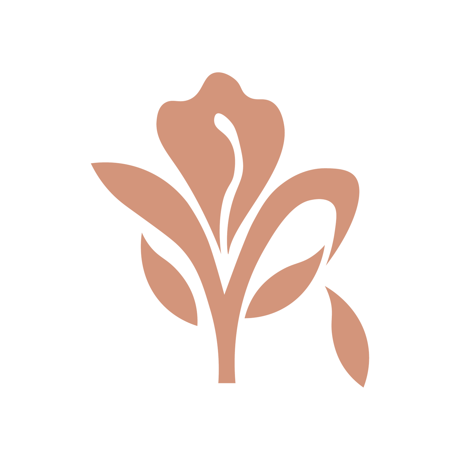 Ira Designs