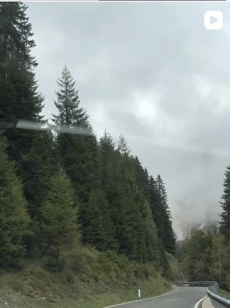 A winding mountain road surrounded by tall evergreen trees and foggy, overcast sky.