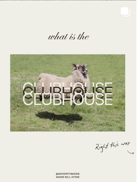 A llama jumping with text overlay reading 'Clubhouse' on a grassy field.