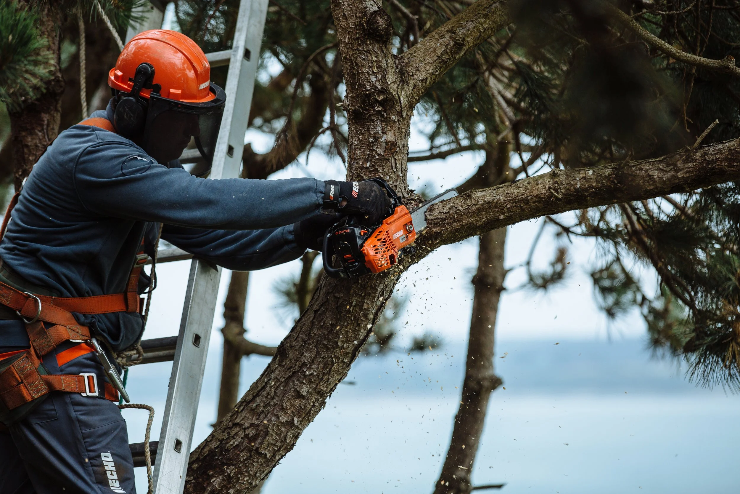 CS-2511TES 2016 (37).jpg