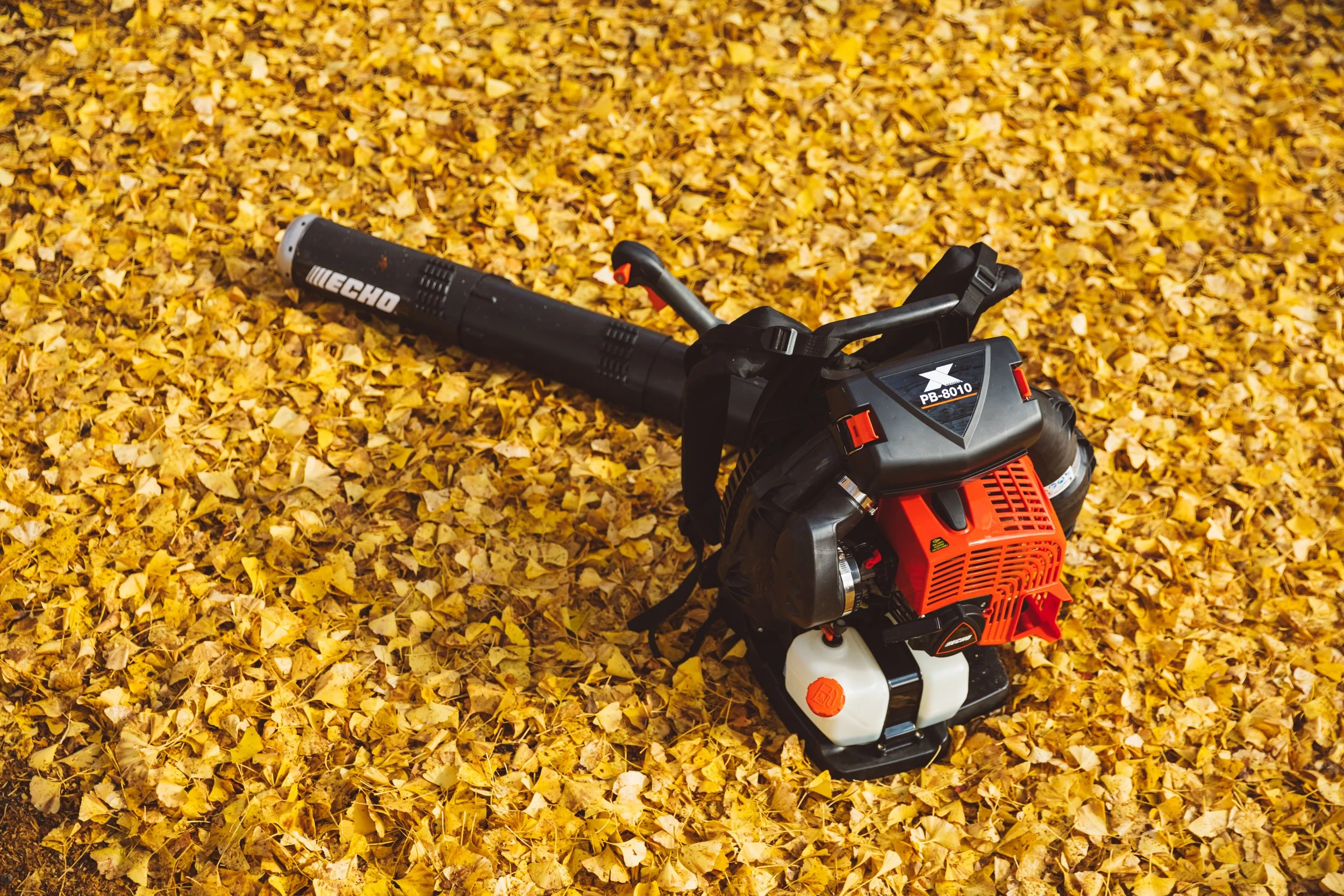 PB-8010 2018 (31).jpg