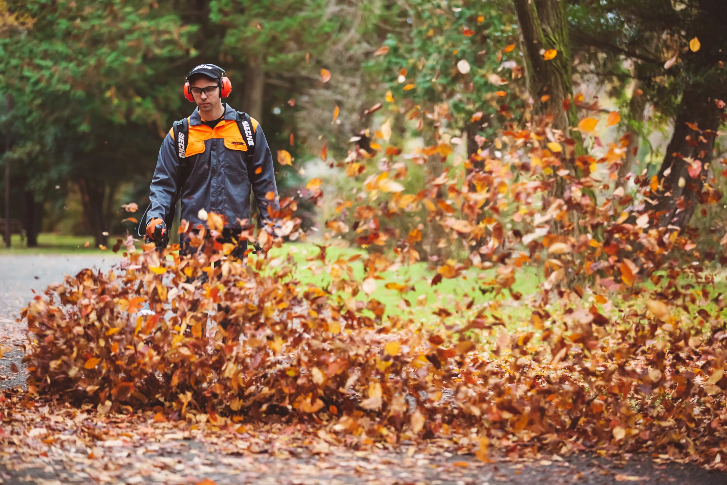 PB-8010 2018 (28).jpg