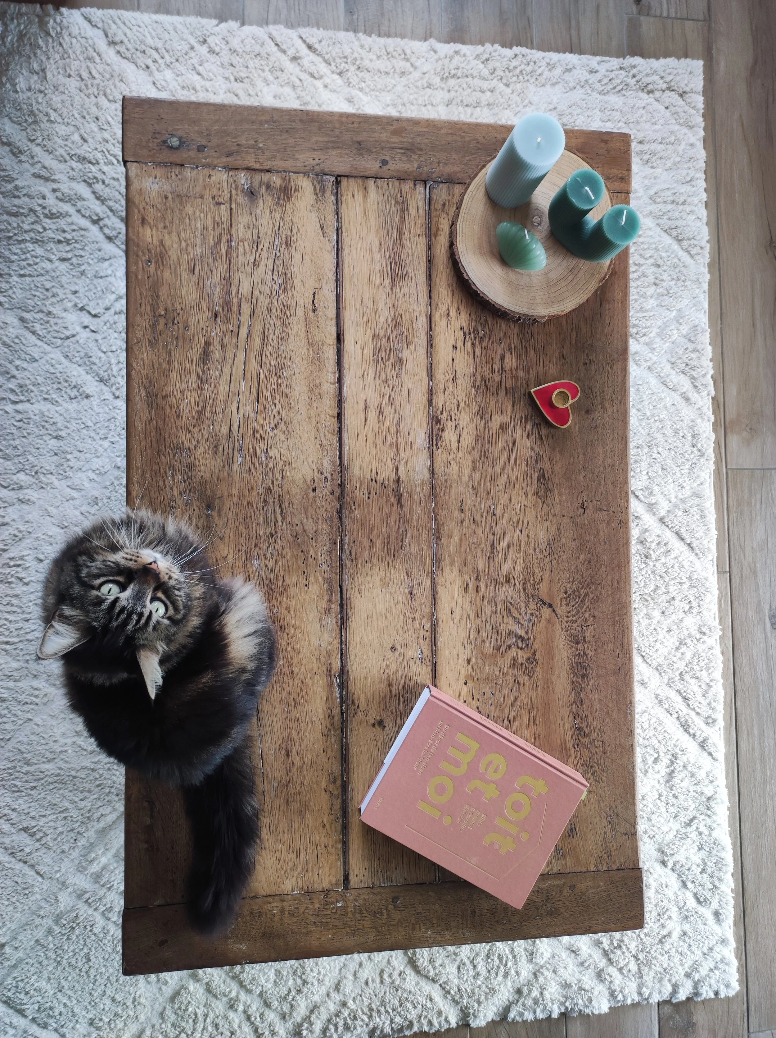 table basse en bois chiné, chat dessus livre toit et moi, maison graffi