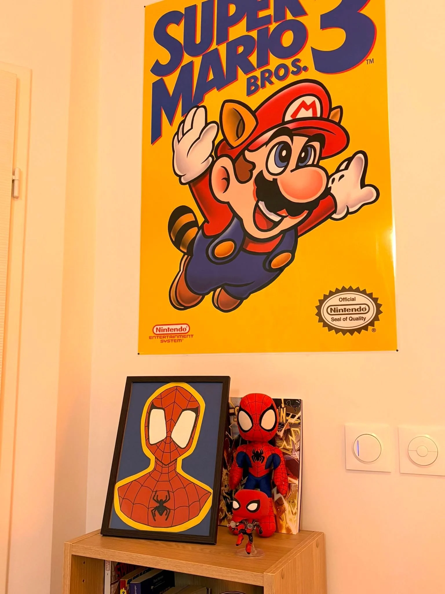 affiche mario velaux