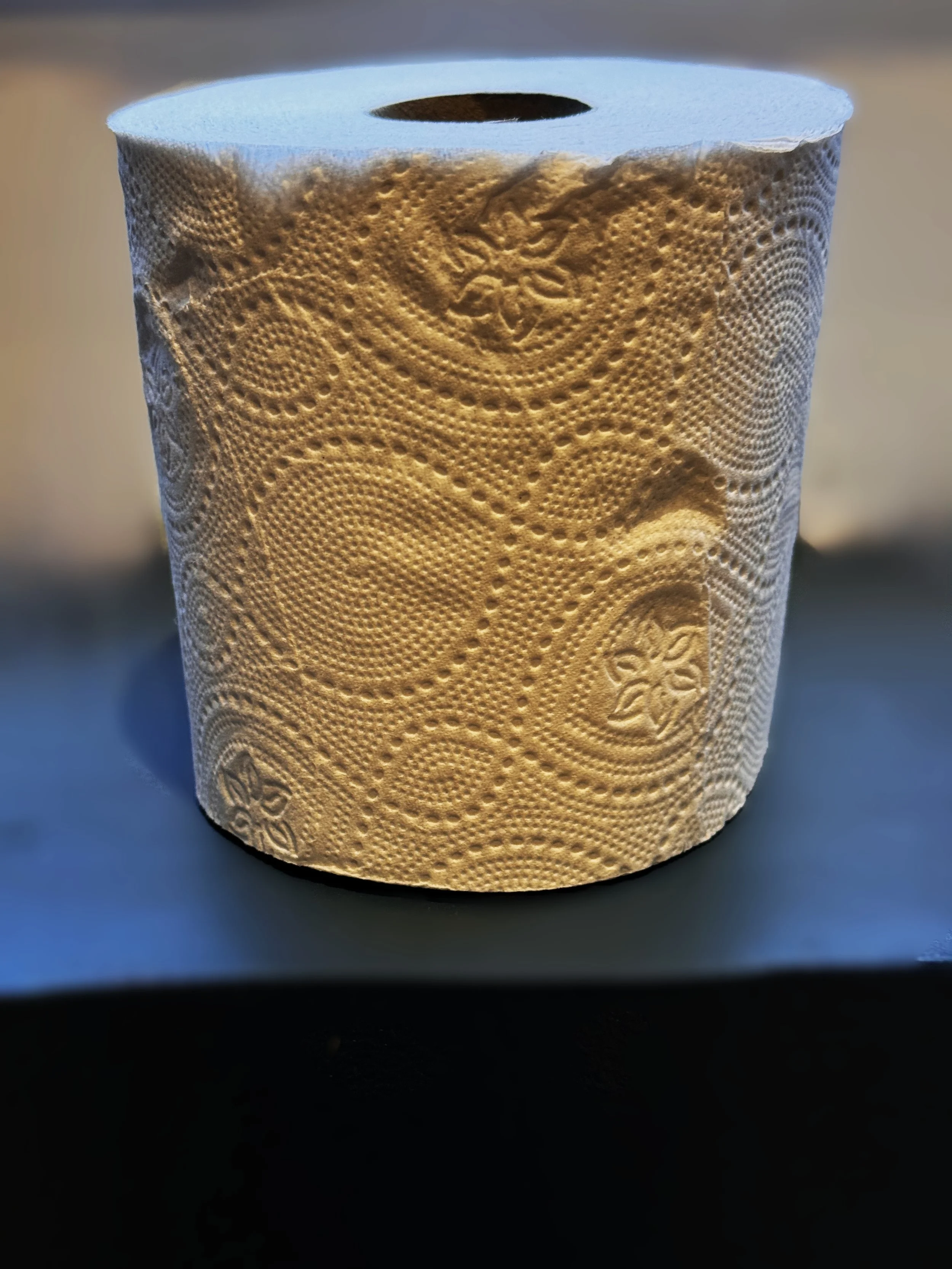 Nova Tissue: Low Impact Paper Manufacturing