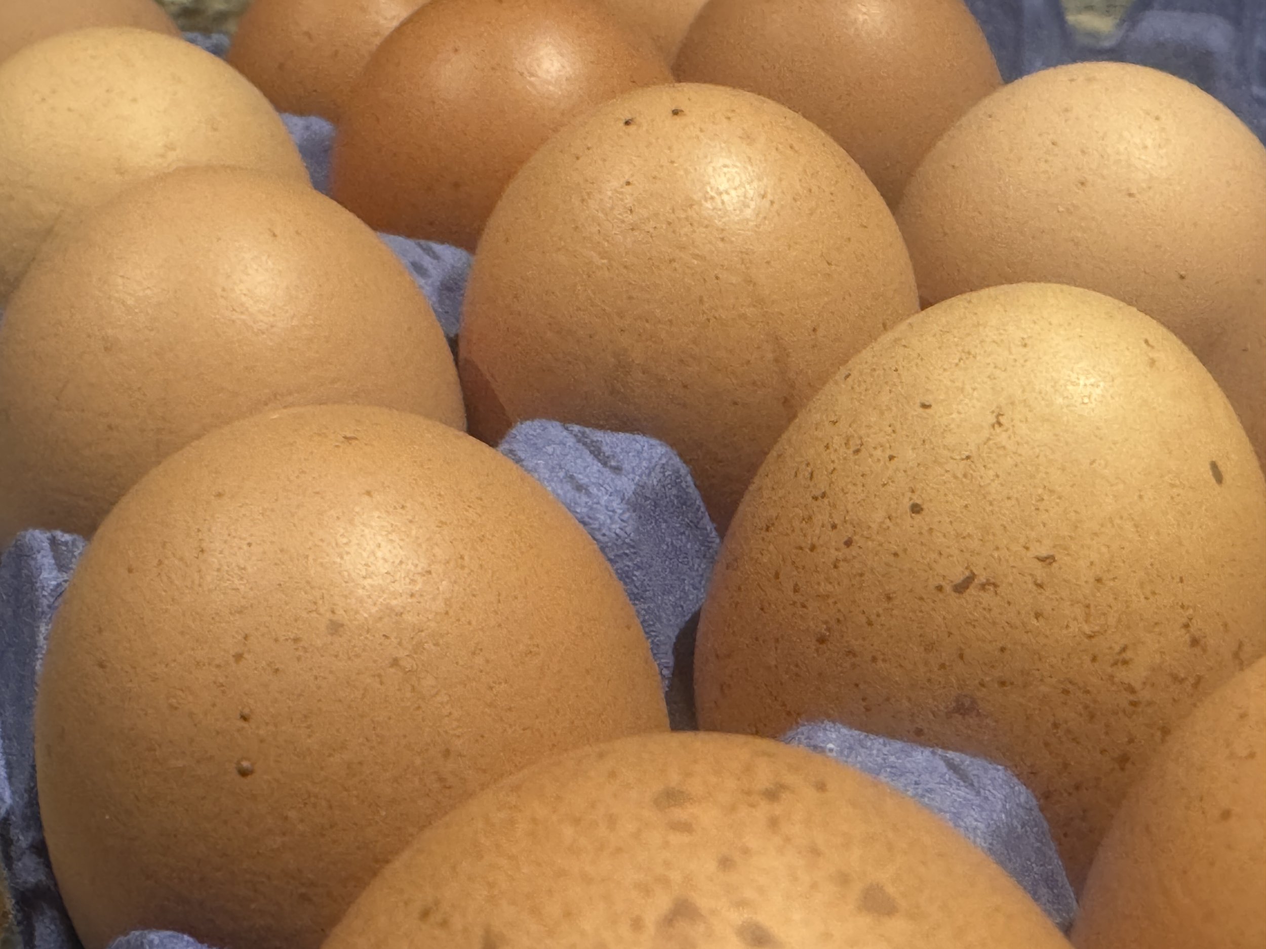 Mayfield Eggs: The Golden Yolk of the Cotswolds