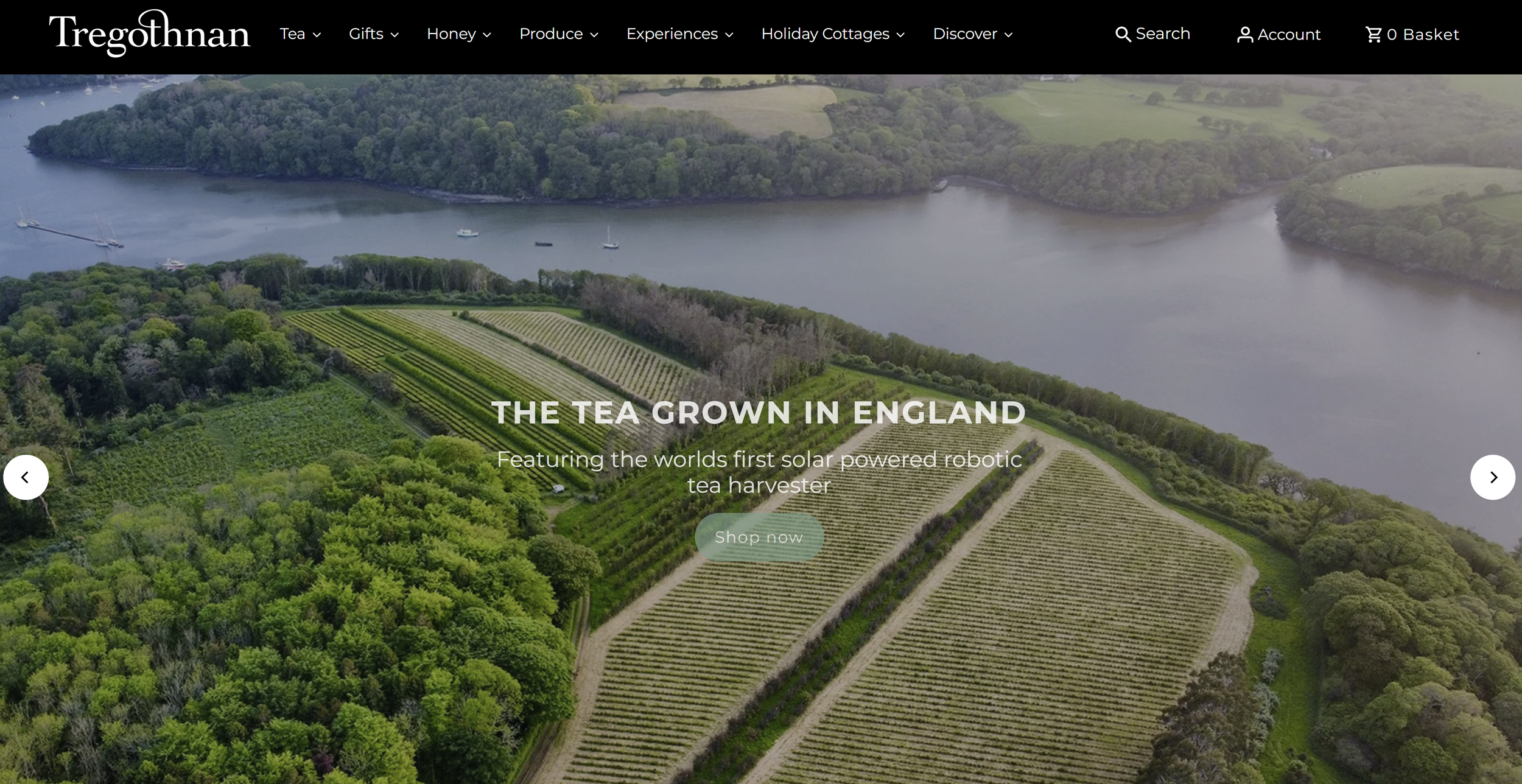 Tregothnan Home